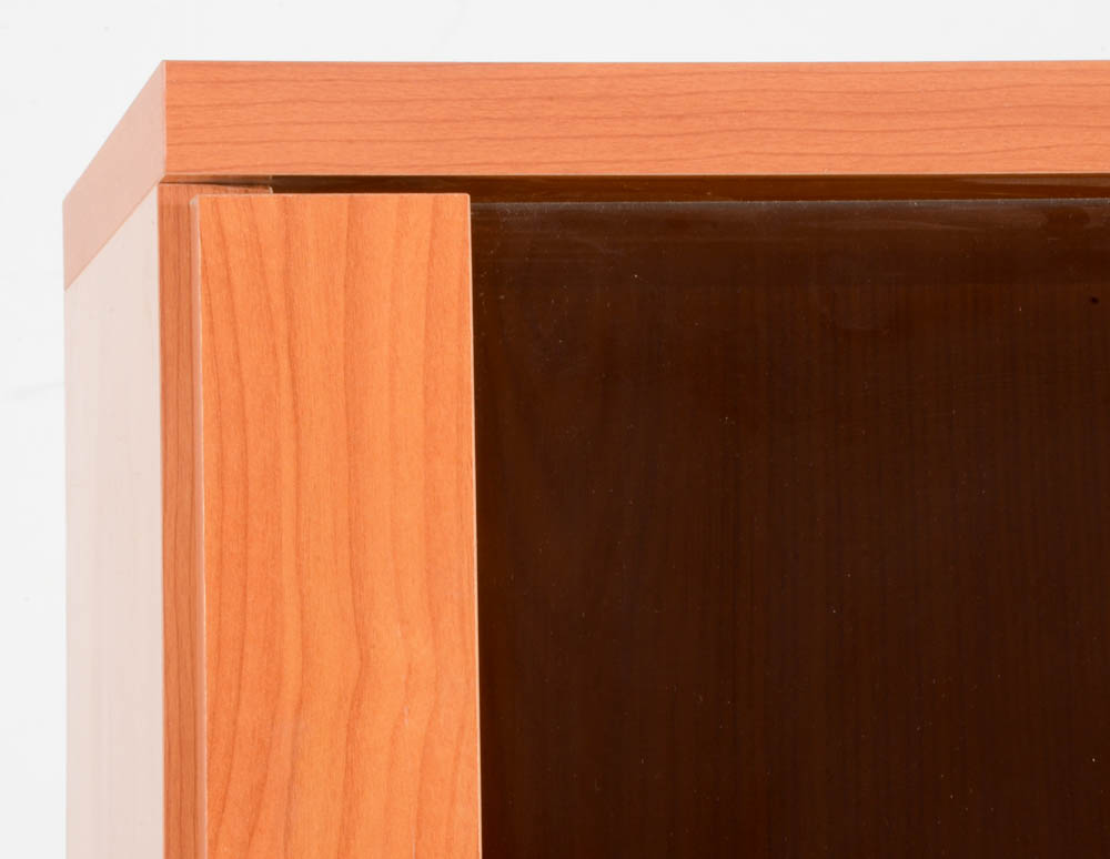 Contemporary Cabinet