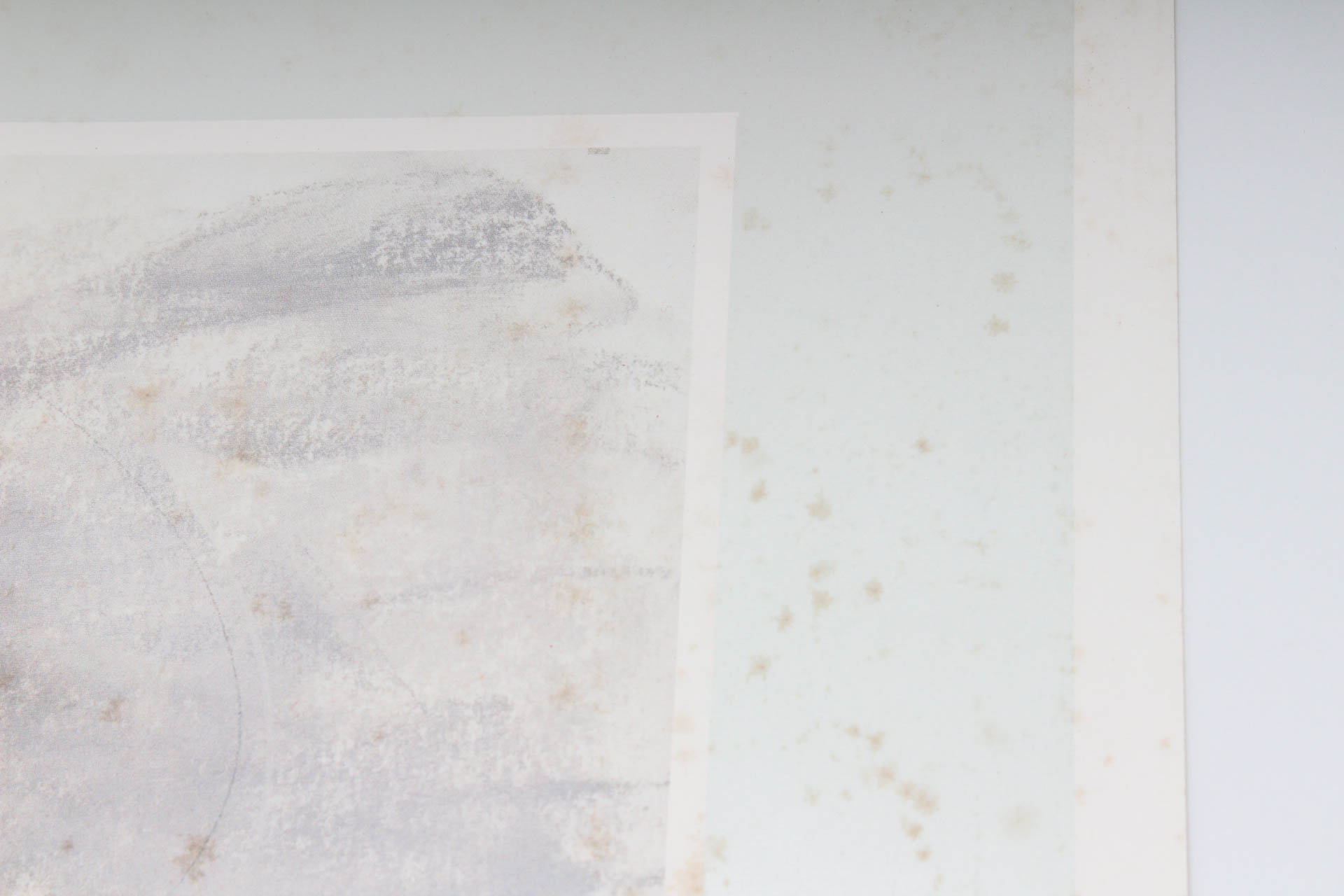 Large Scale Art Posters