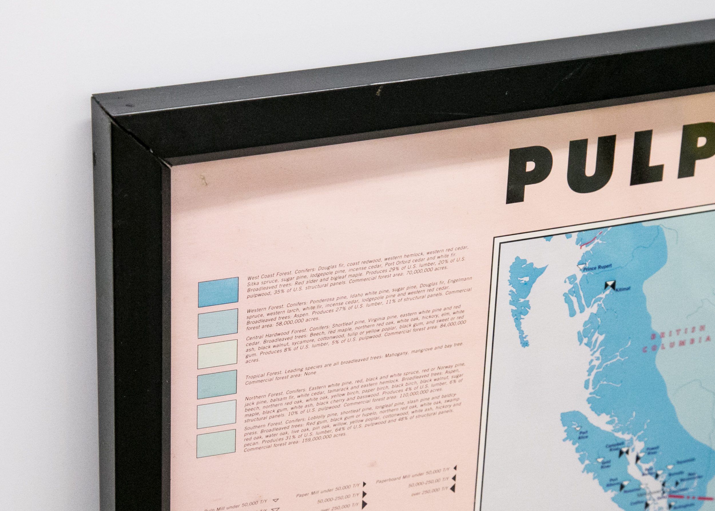 Framed "Pulp & Paper Mills" Map