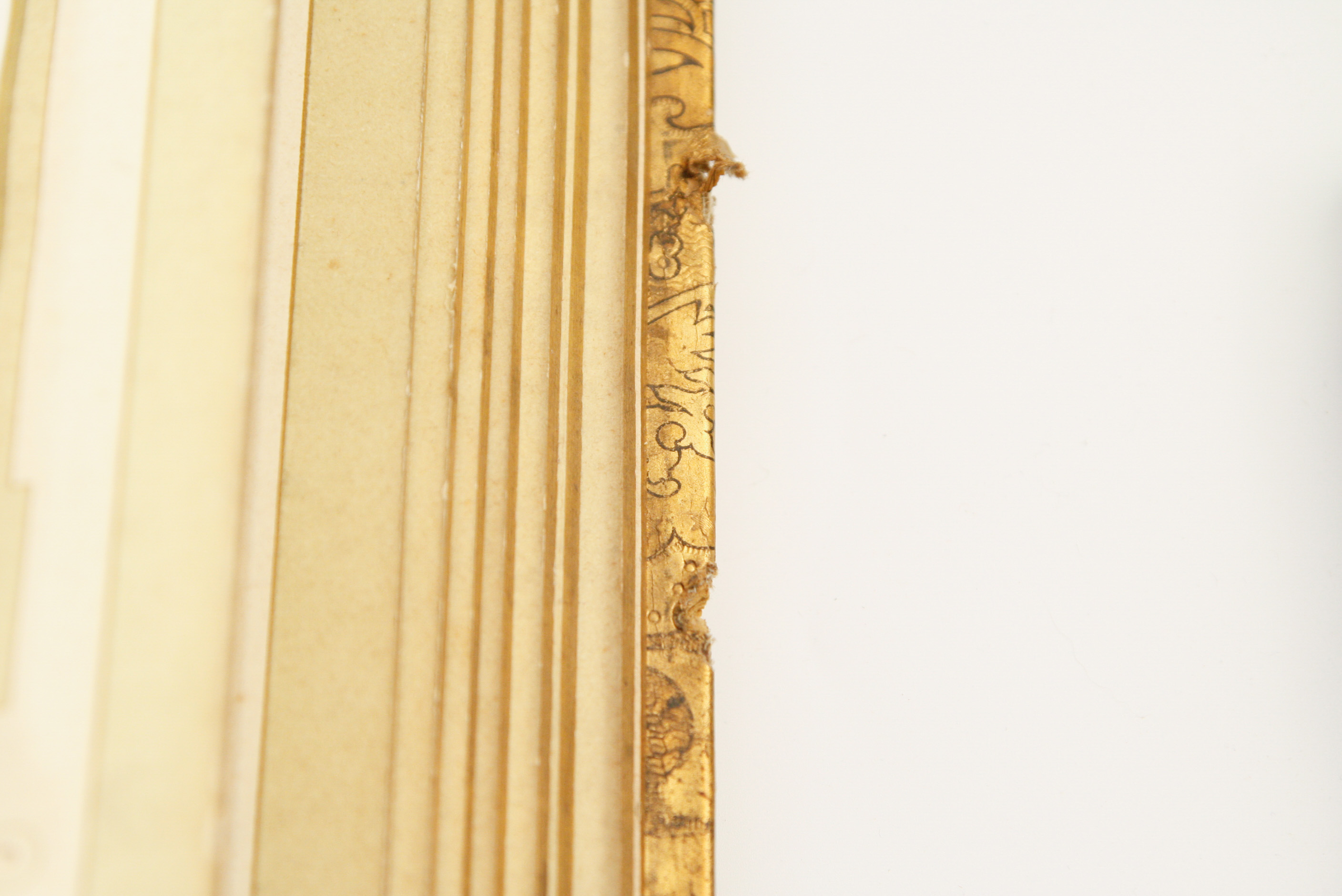 Hand-Painted Art Nouveau German Photograph Album