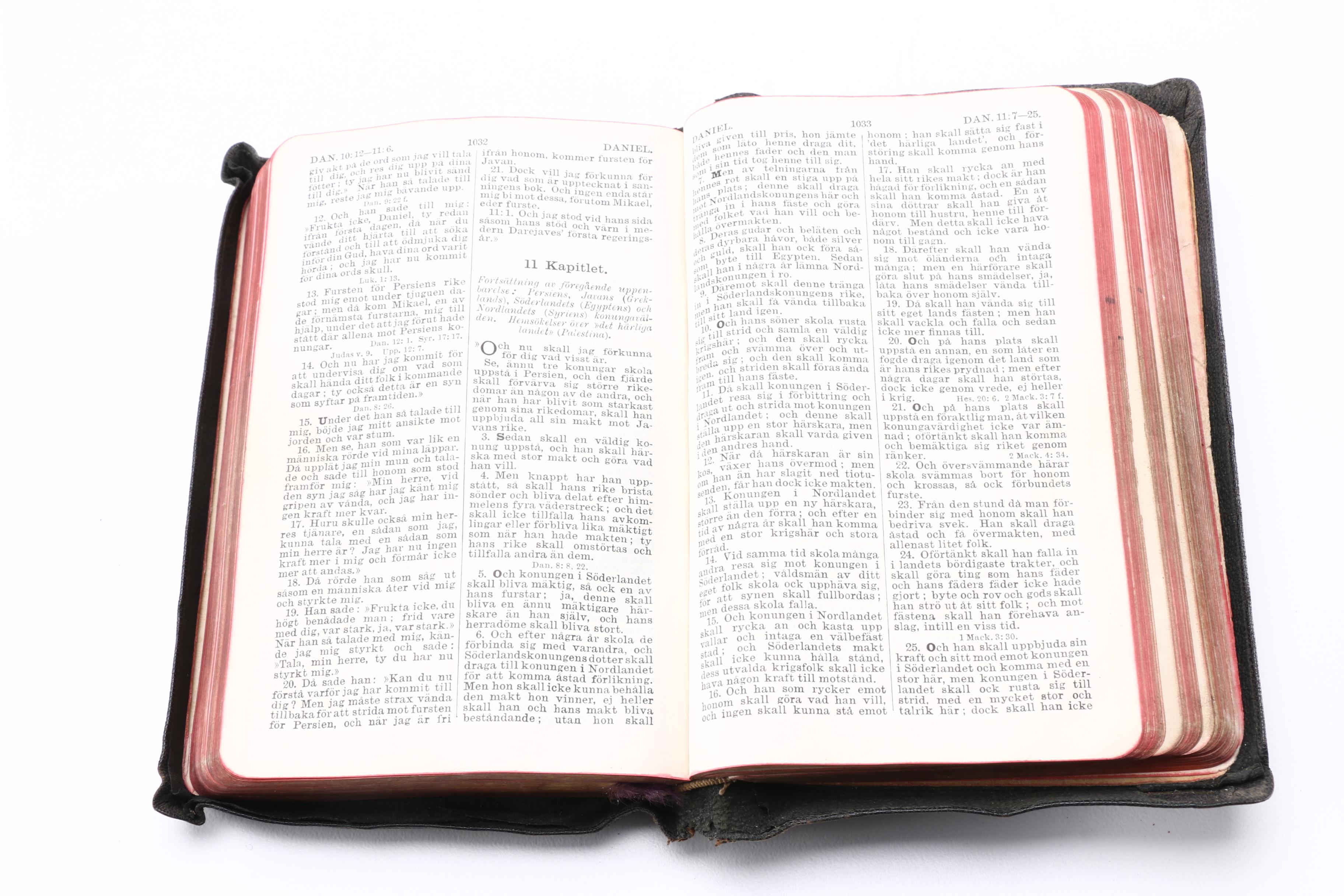 Assortment of Swedish Religious Books