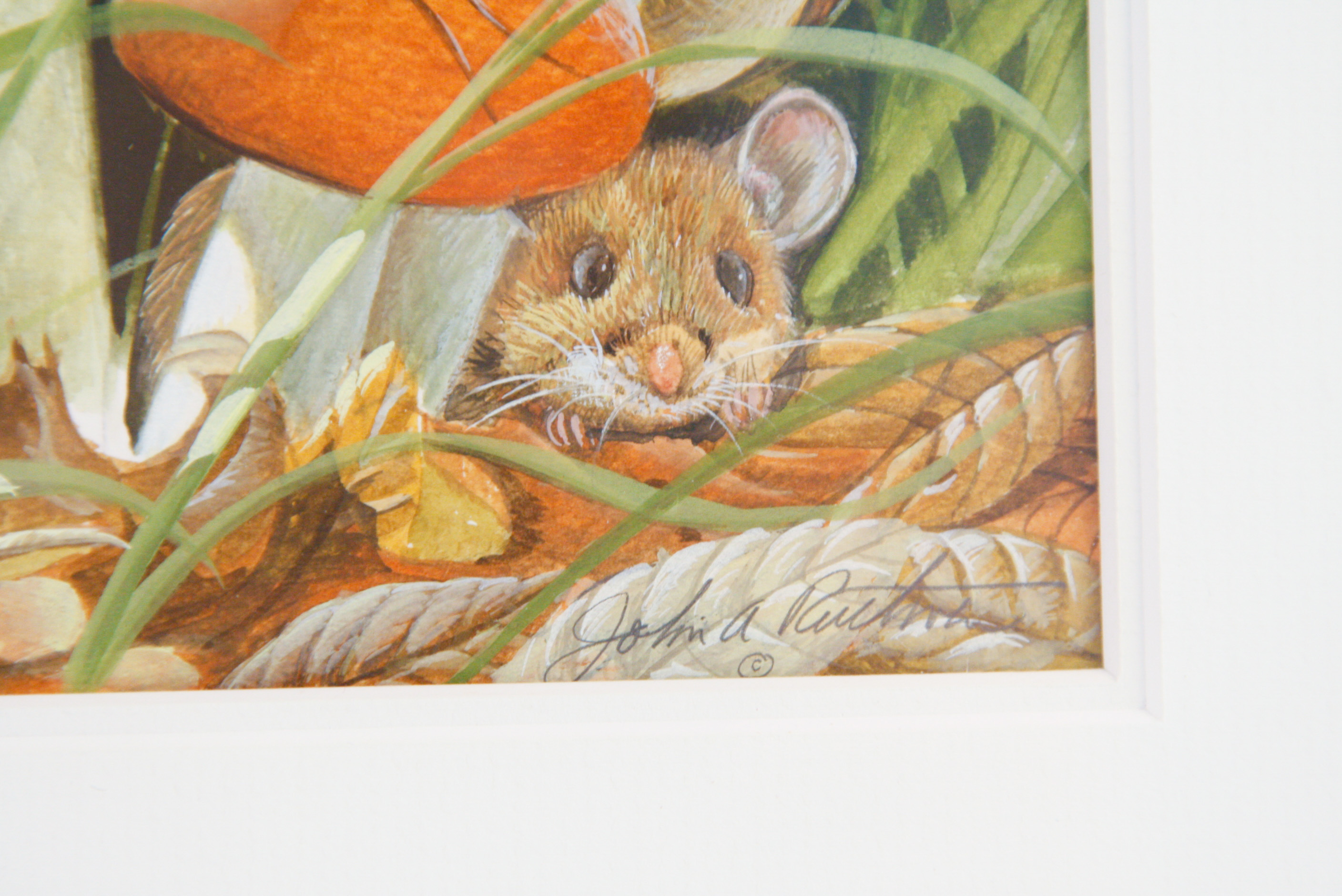John A. Ruthven Original Watercolor and Gouache on Paper "White Footed Mouse and Russulas"