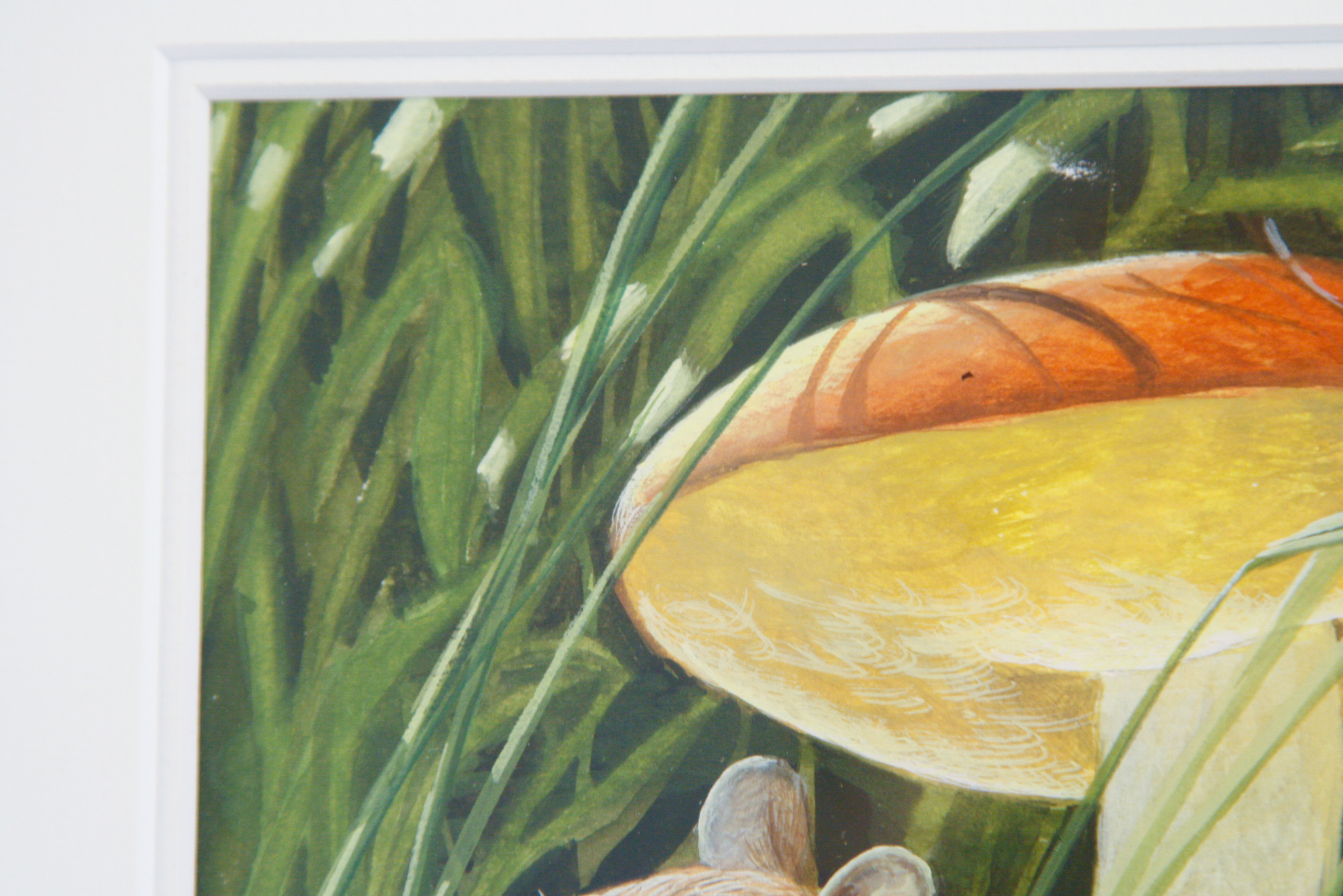 John A. Ruthven Original Watercolor and Gouache on Paper "White Footed Mouse and Russulas"