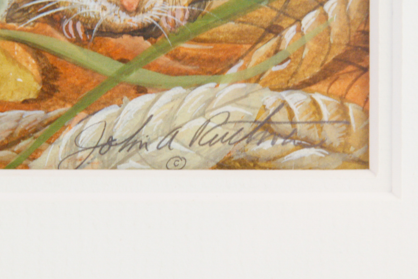 John A. Ruthven Original Watercolor and Gouache on Paper "White Footed Mouse and Russulas"