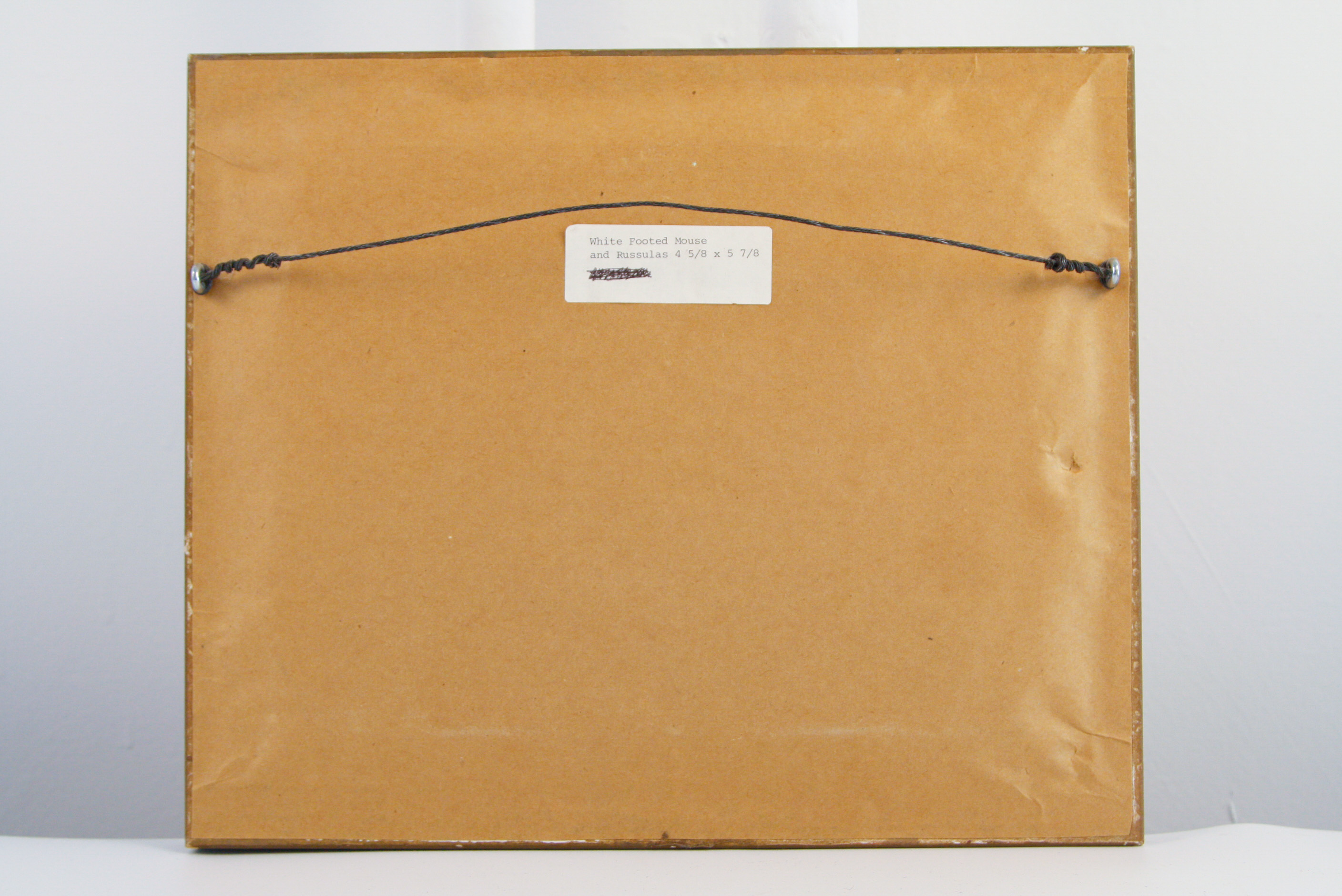 John A. Ruthven Original Watercolor and Gouache on Paper "White Footed Mouse and Russulas"