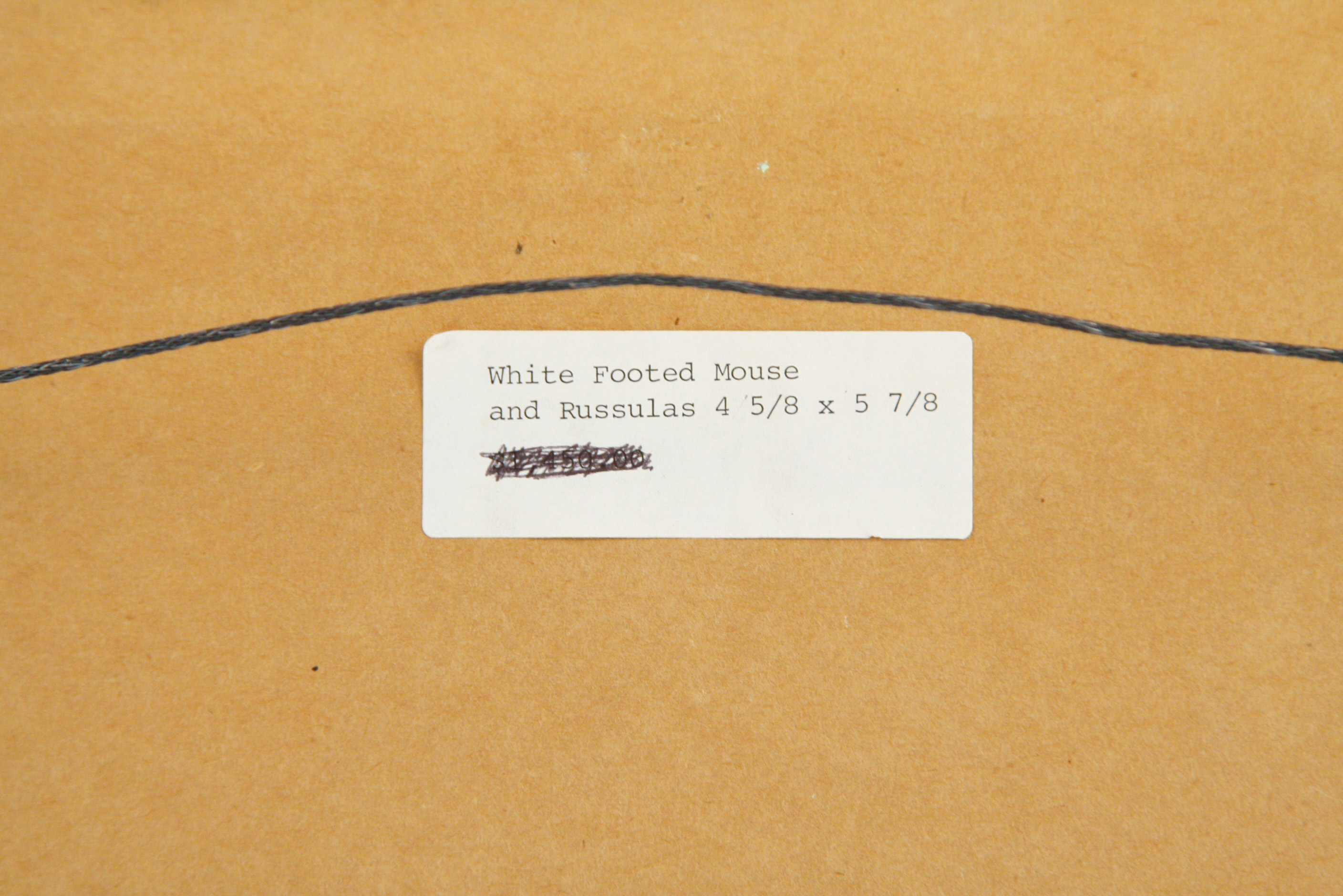 John A. Ruthven Original Watercolor and Gouache on Paper "White Footed Mouse and Russulas"