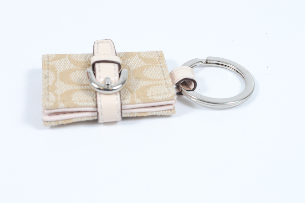 Coach Kristen Chain Link Wristlet Wallet and Signature Key Ring