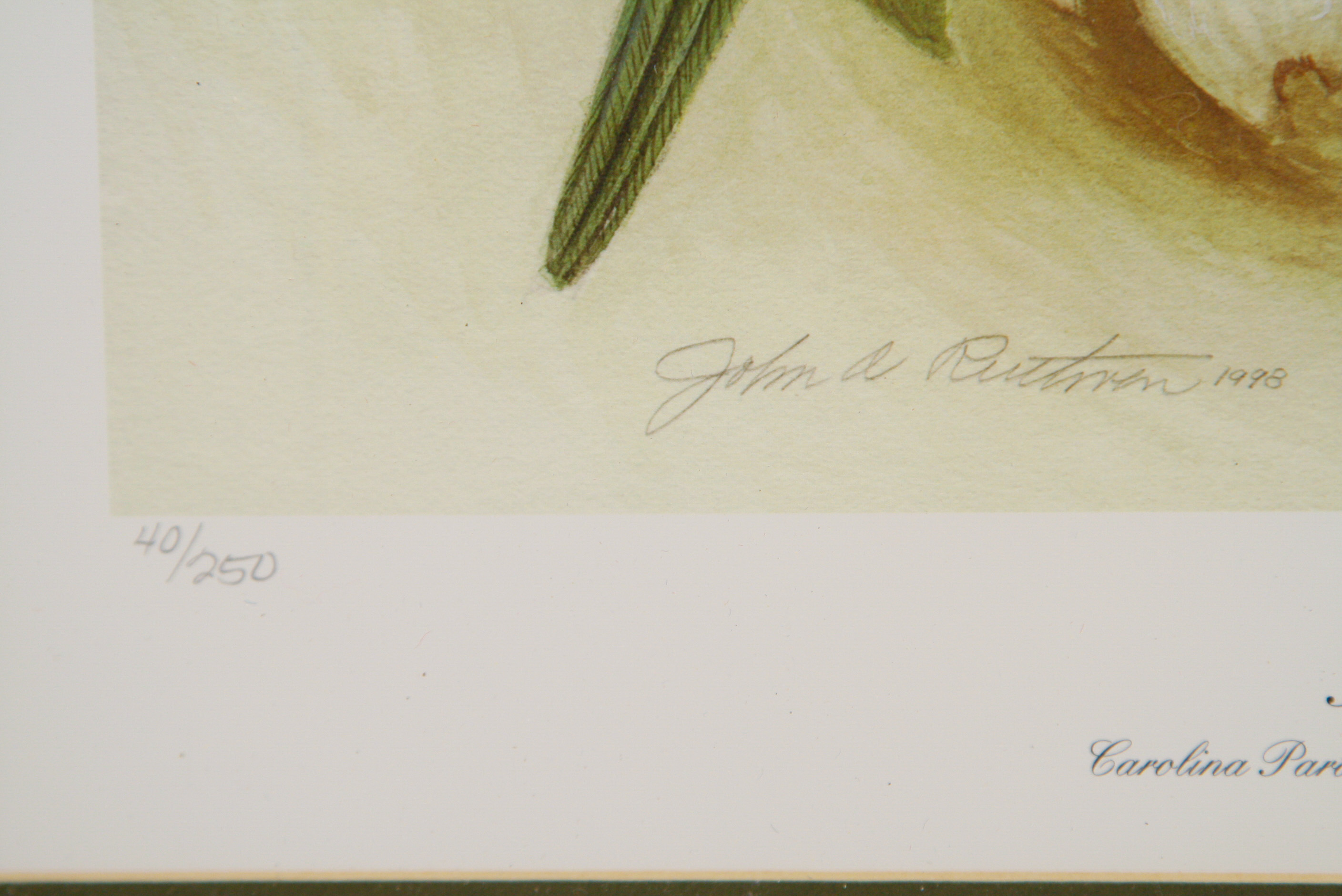 1998 John A. Ruthven Limited Edition Lithograph "Birds Eye View"