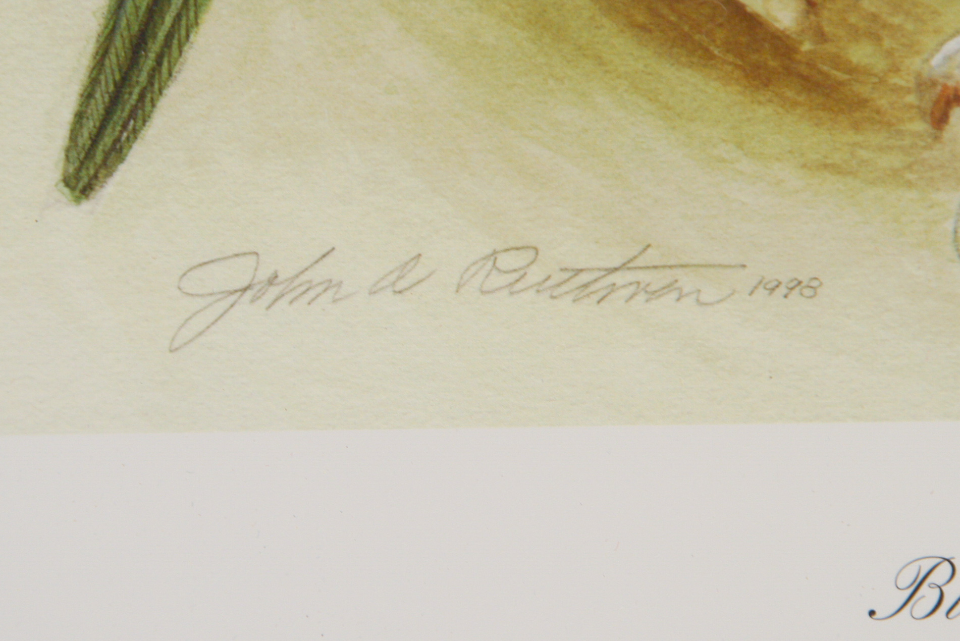 1998 John A. Ruthven Limited Edition Lithograph "Birds Eye View"