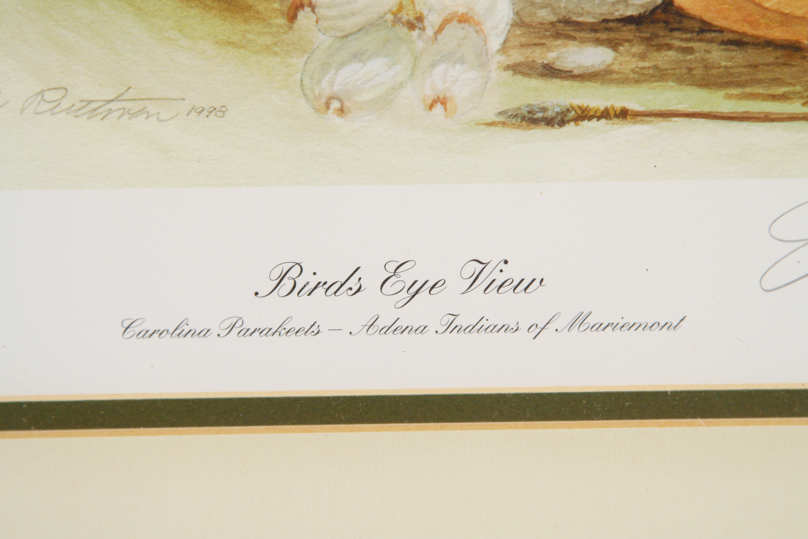 1998 John A. Ruthven Limited Edition Lithograph "Birds Eye View"