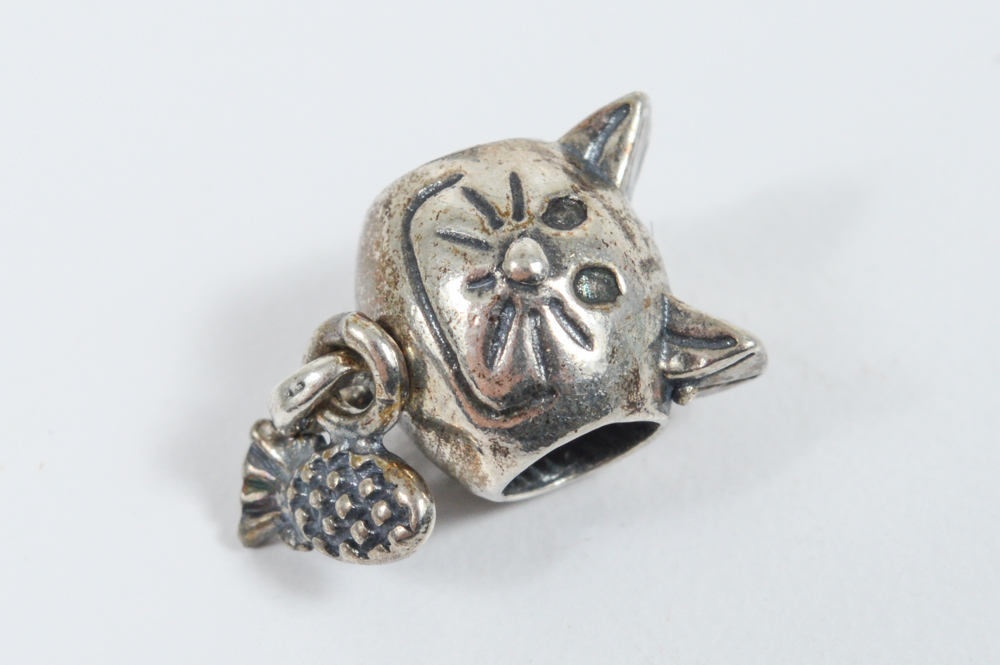 Collection of Sterling Silver Jewelry Featuring Pandora