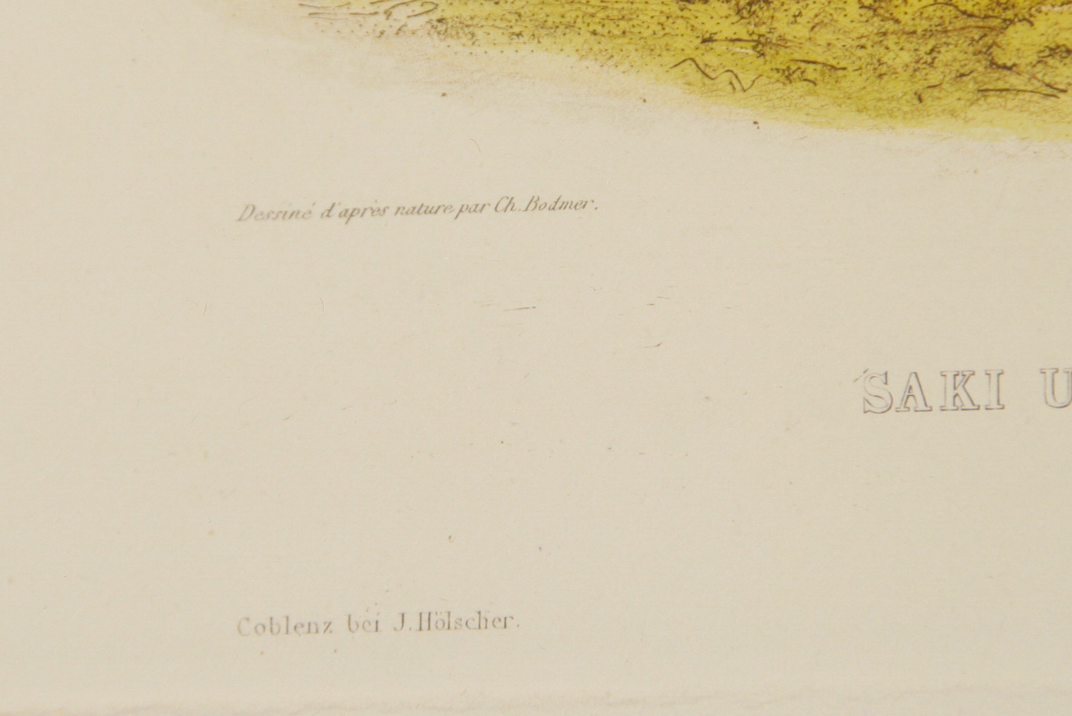 After Karl Bodmer Aquatint Engraving "Saukie and Fox Indians"