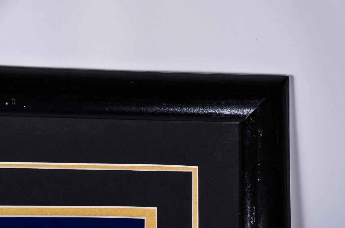 Framed Contemporary Offset Lithograph