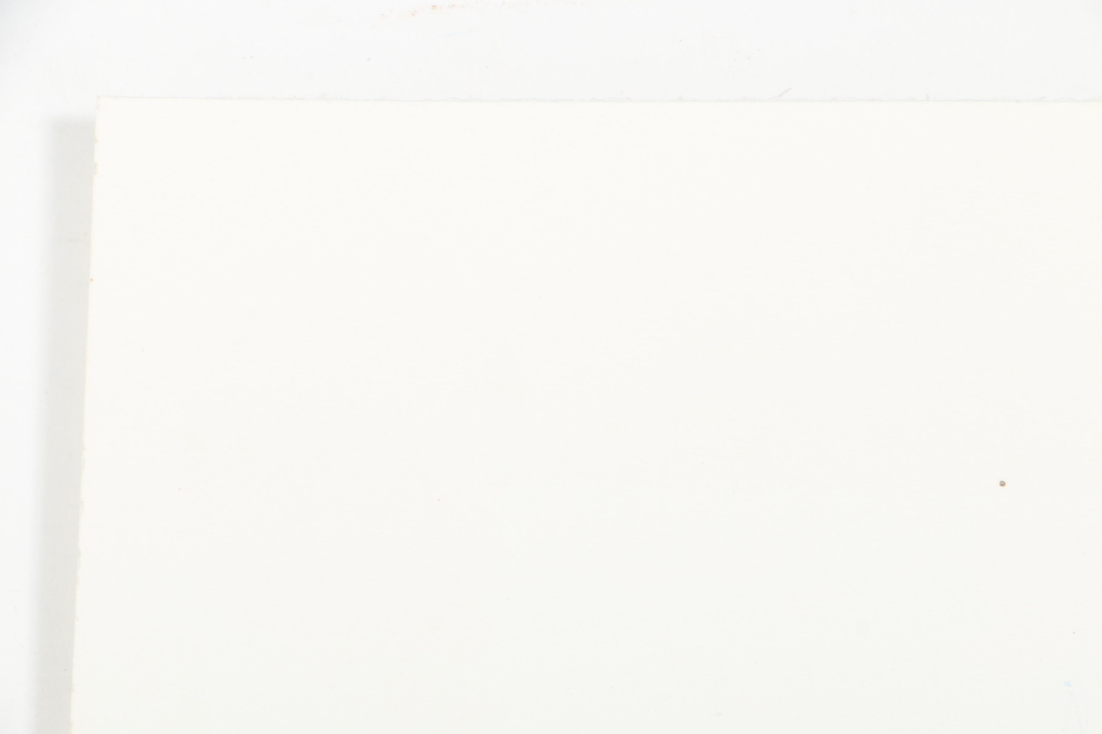 Richard C. Guy Civil War Themed Illustrations