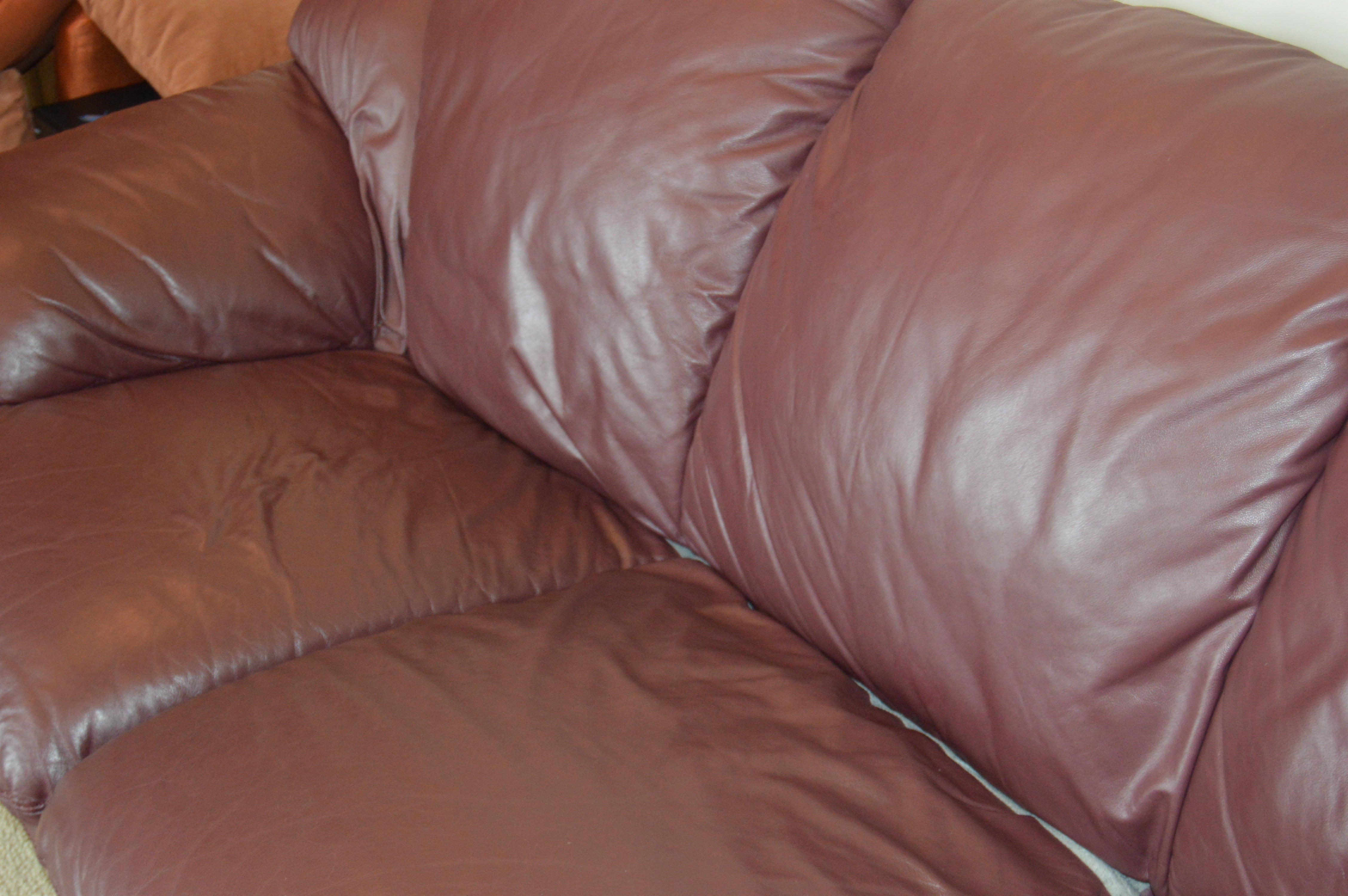 Plush Leather Sofa by Natuzzi