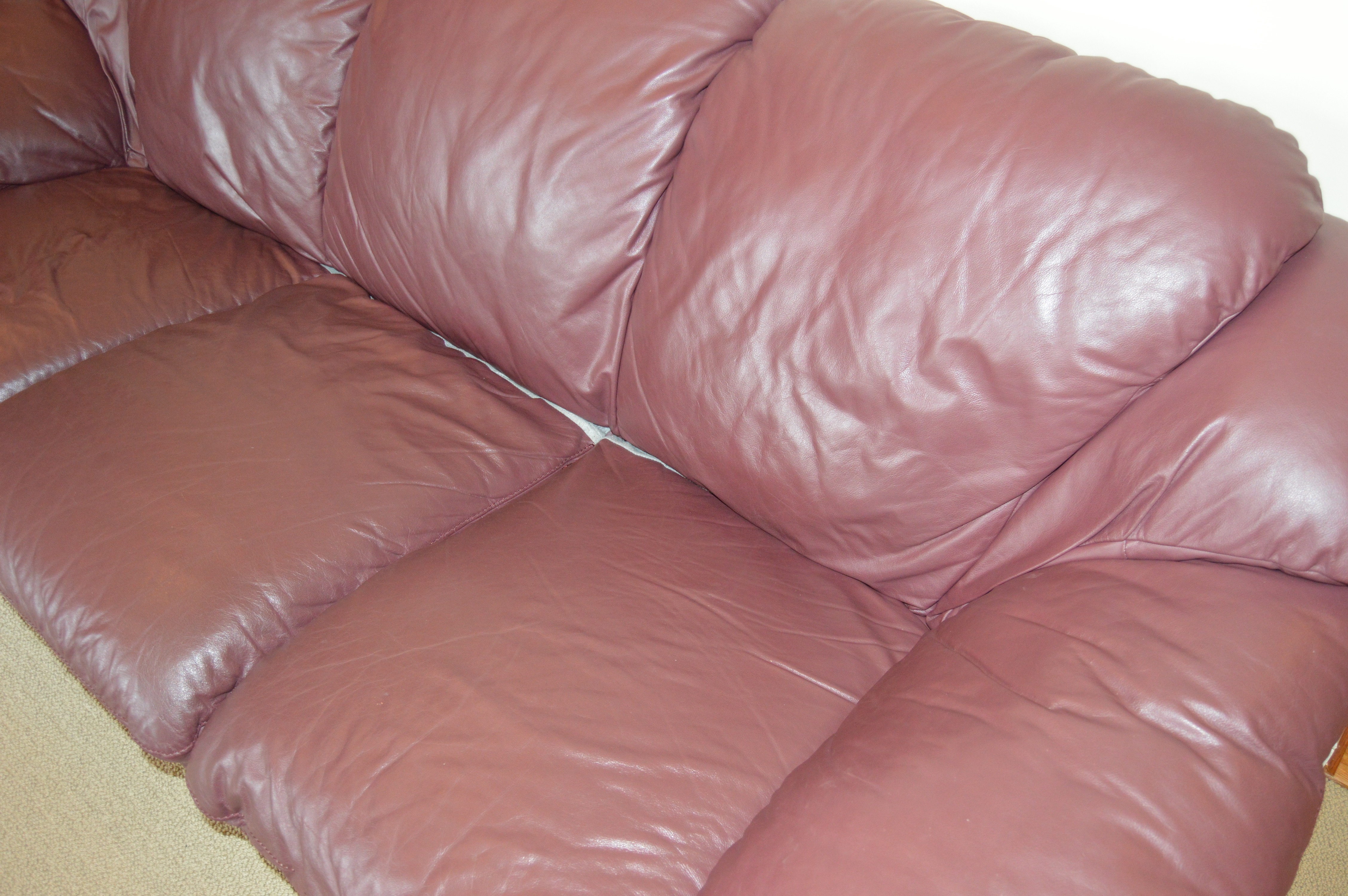 Plush Leather Sofa by Natuzzi