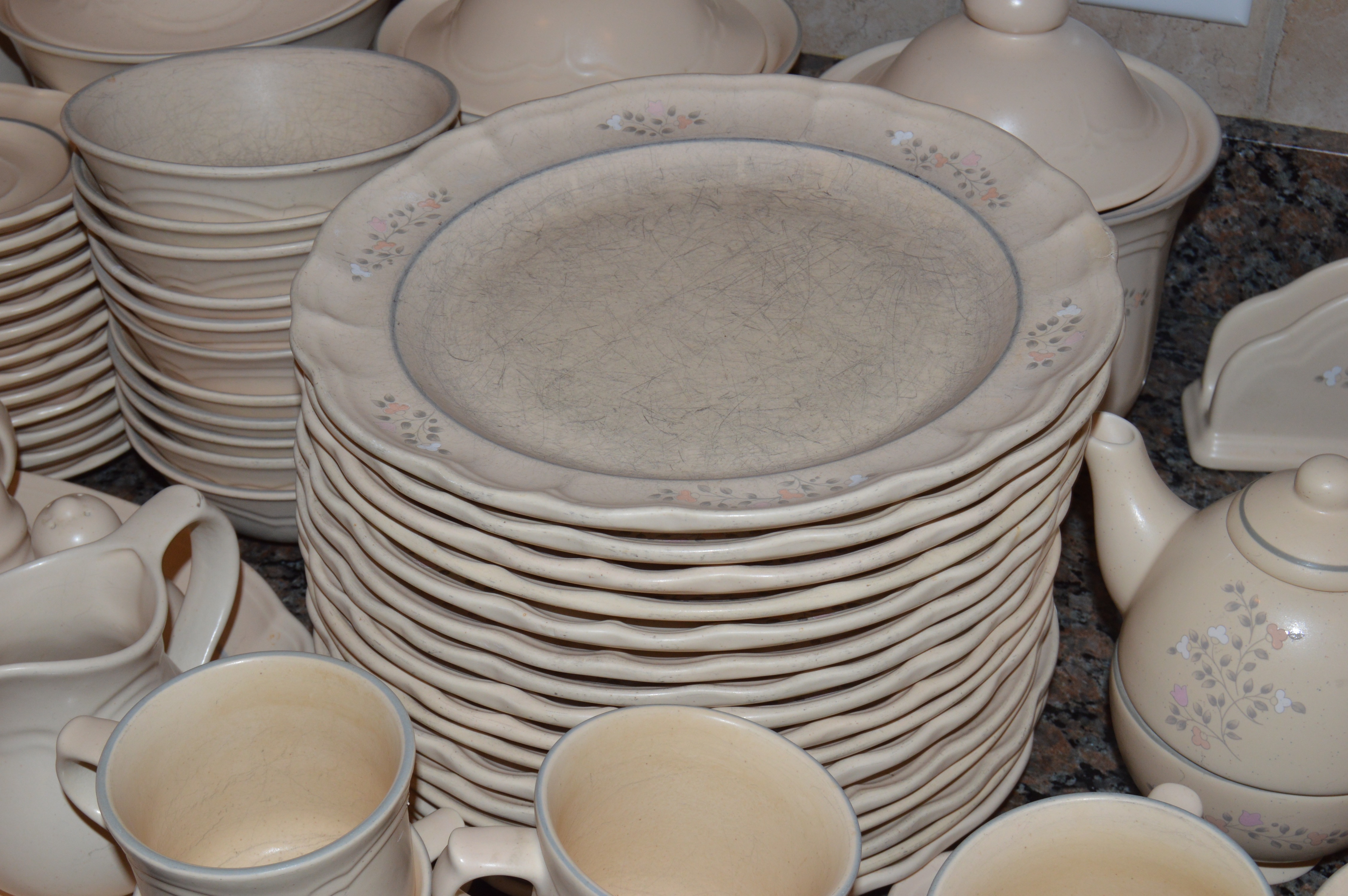 Pfaltzgraff "Remembrance" Dishes and Serveware