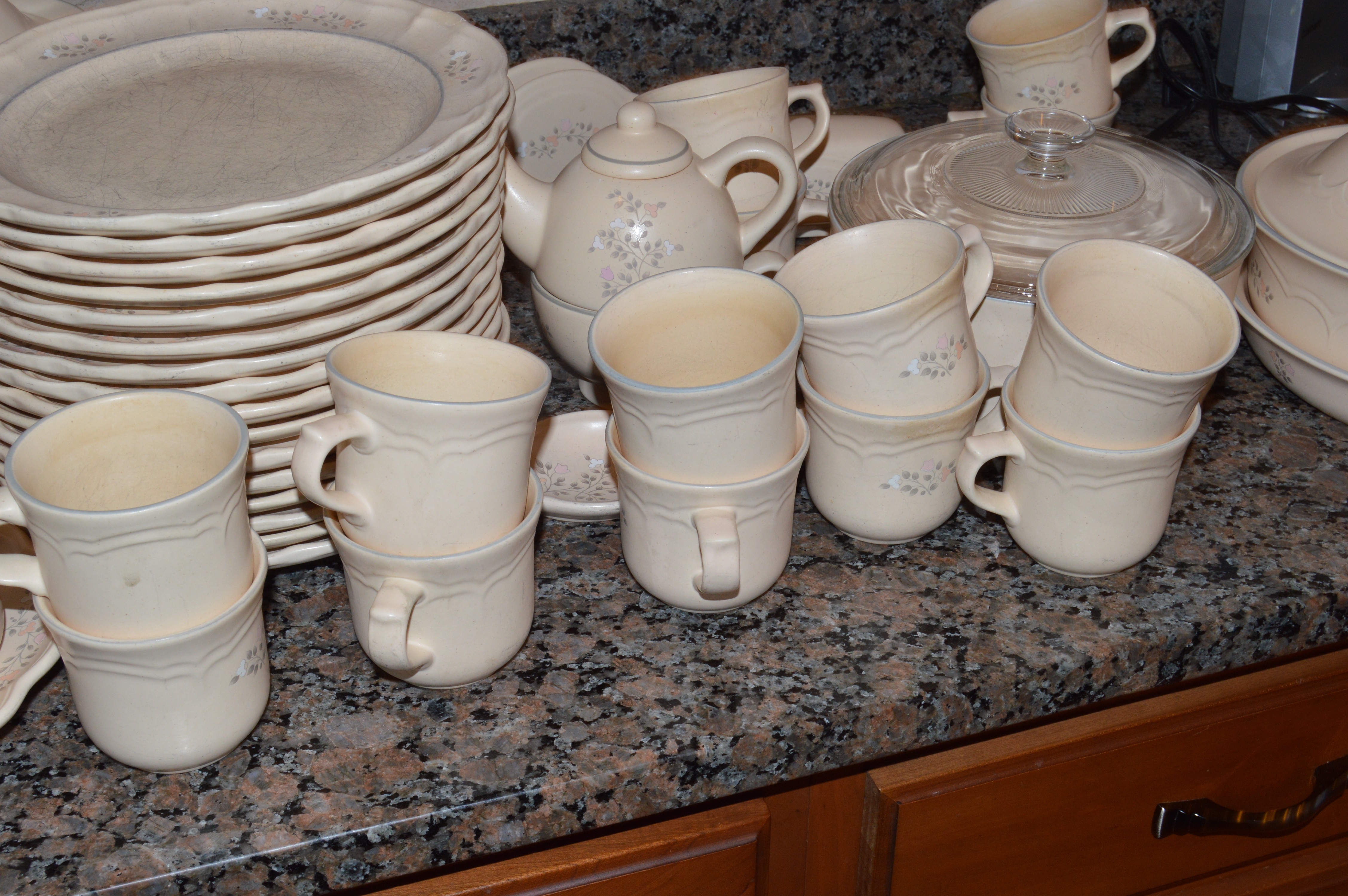 Pfaltzgraff "Remembrance" Dishes and Serveware