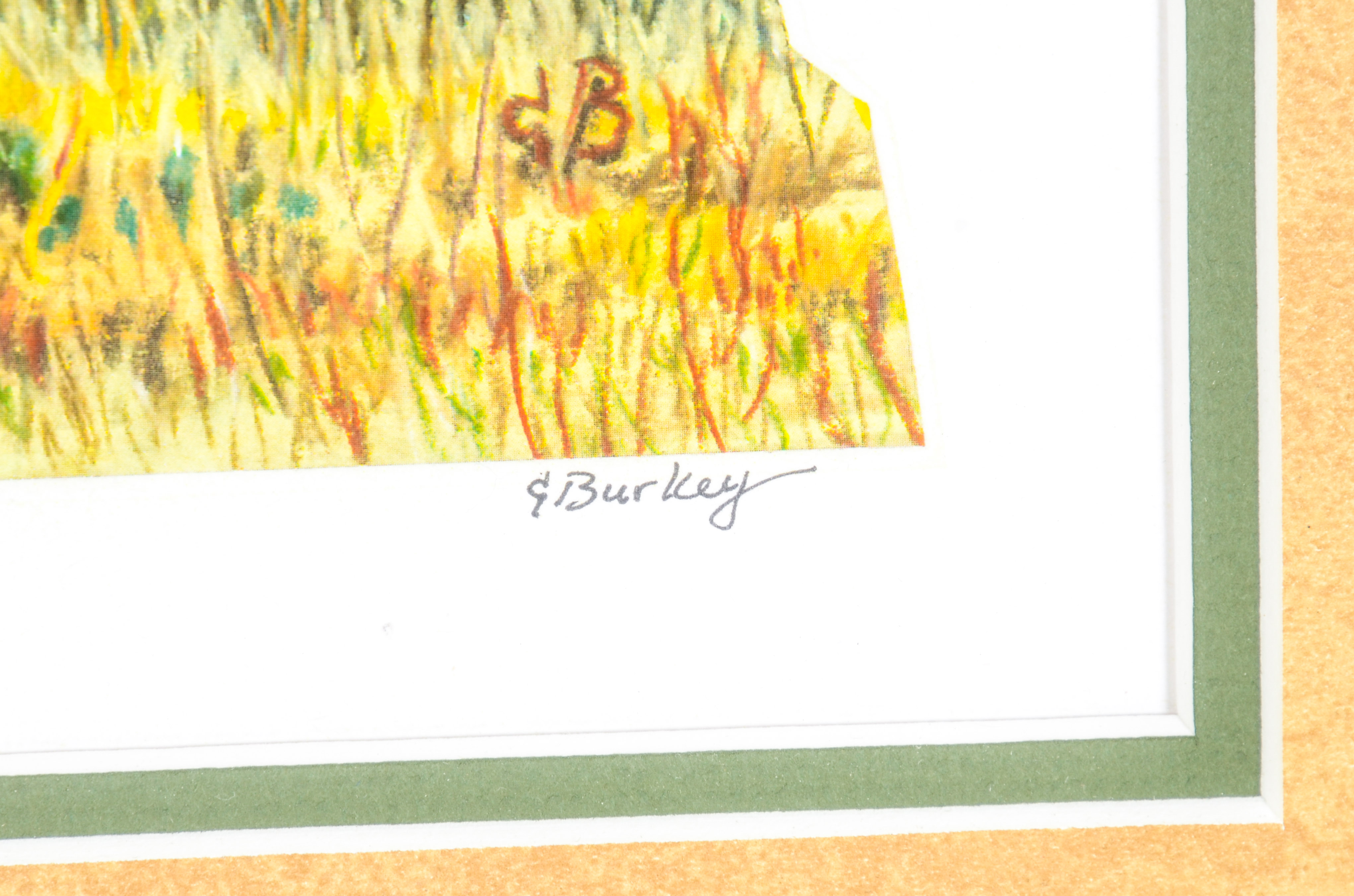 Kevin L. Burkey Print, "Spring Bloom"