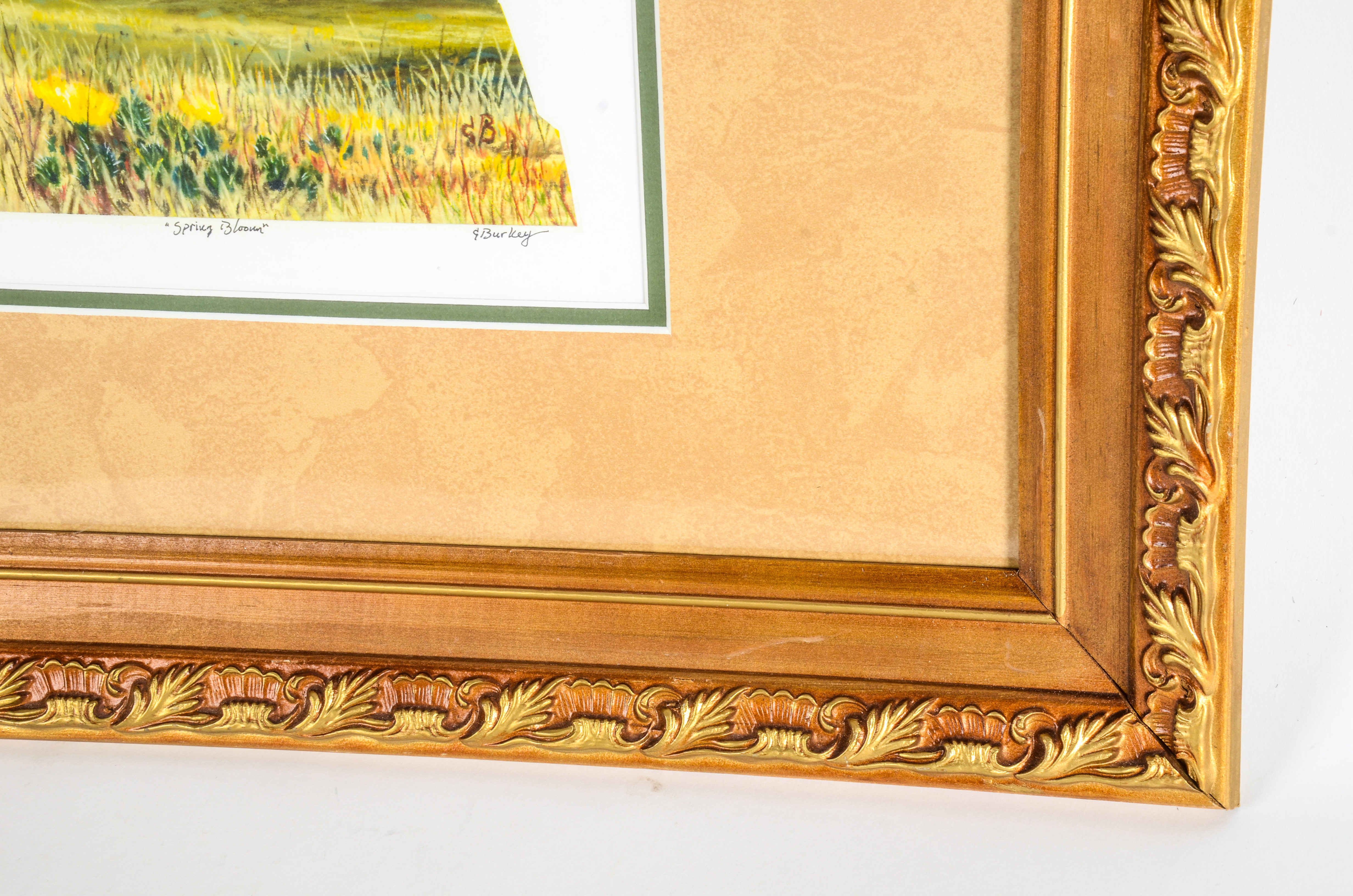 Kevin L. Burkey Print, "Spring Bloom"