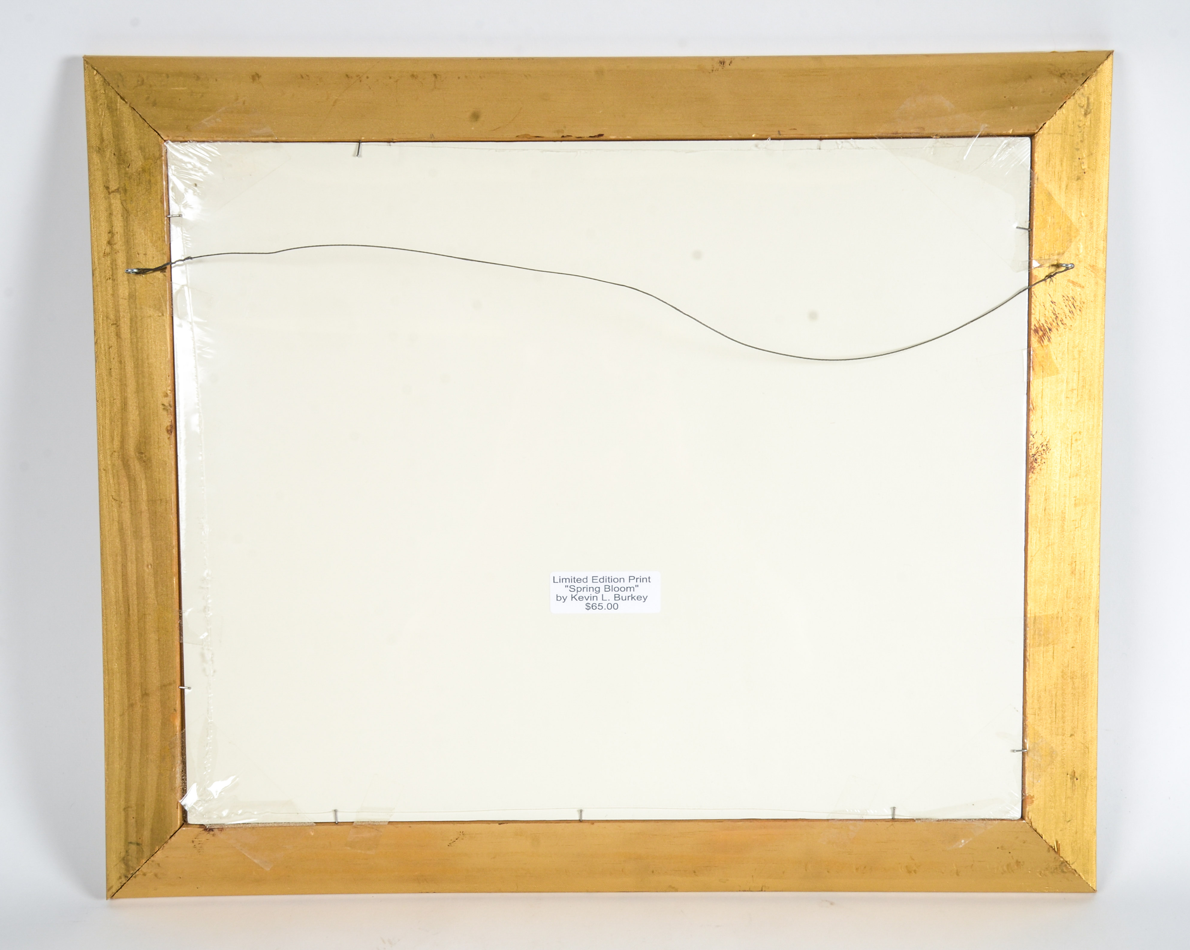 Kevin L. Burkey Print, "Spring Bloom"