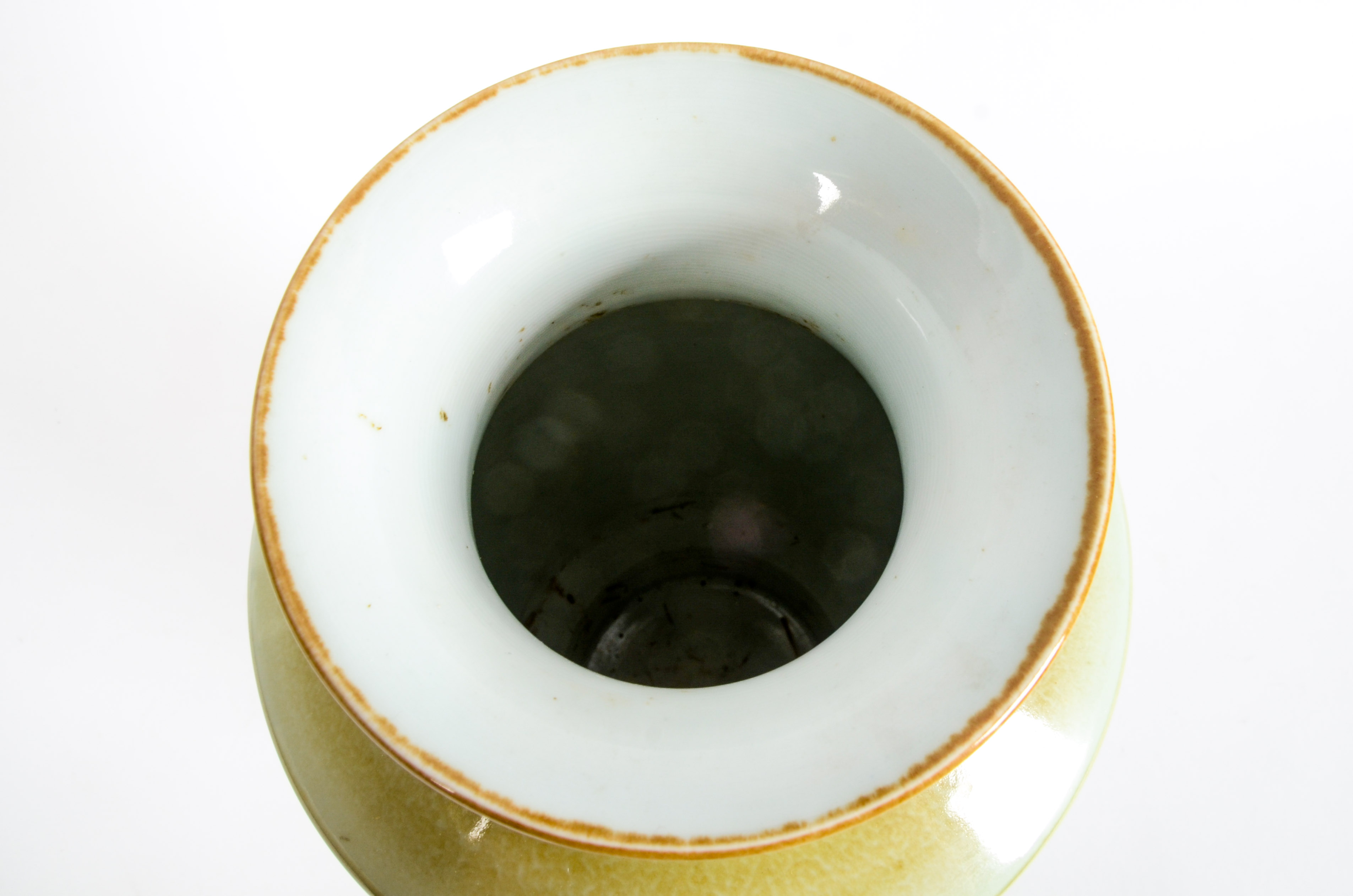 Contemporary Chinese Hand-Painted Porcelain Vase