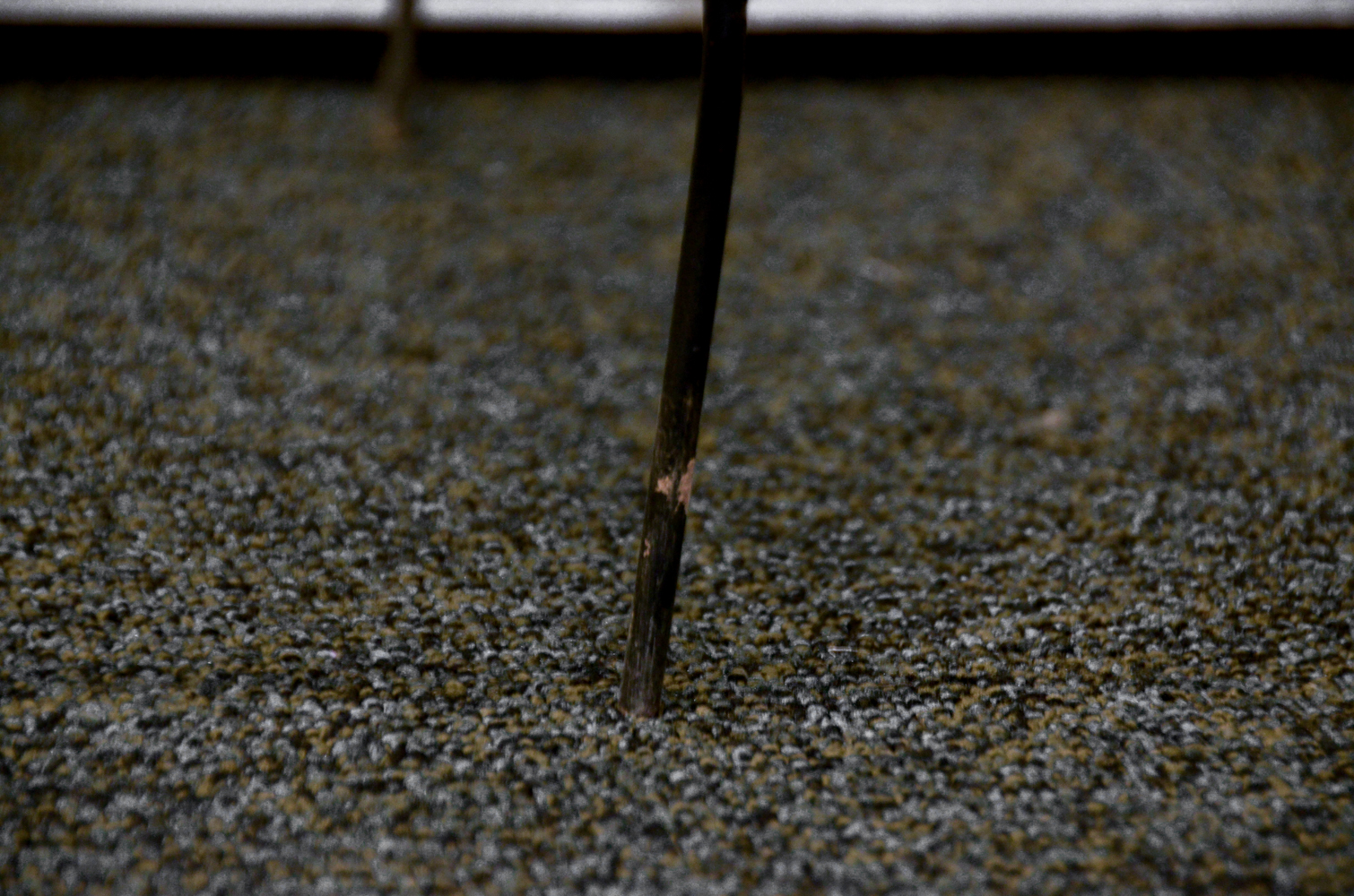 Two Wrought Iron Trellises