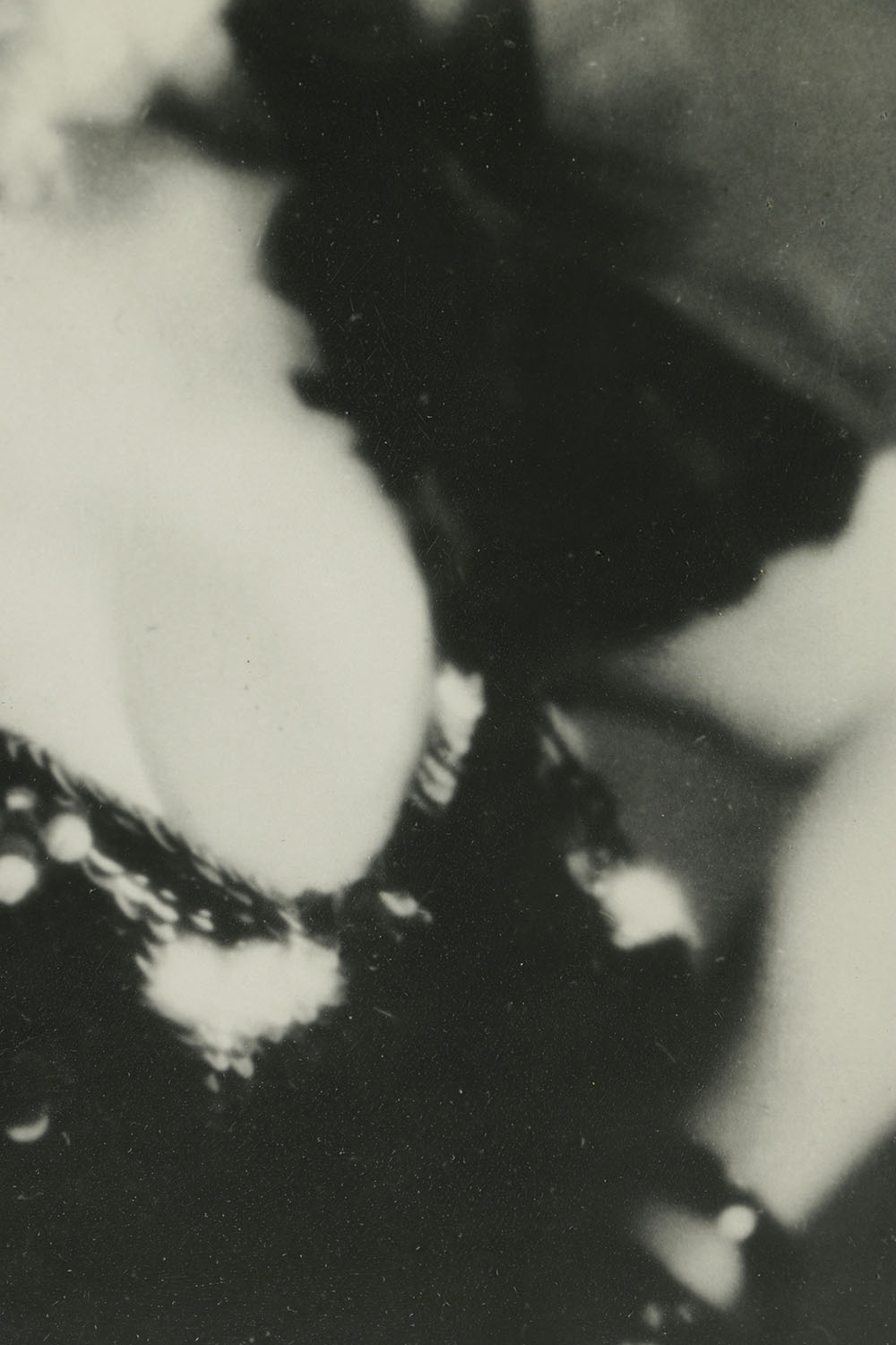 Black and White Photograph of Pola Negri