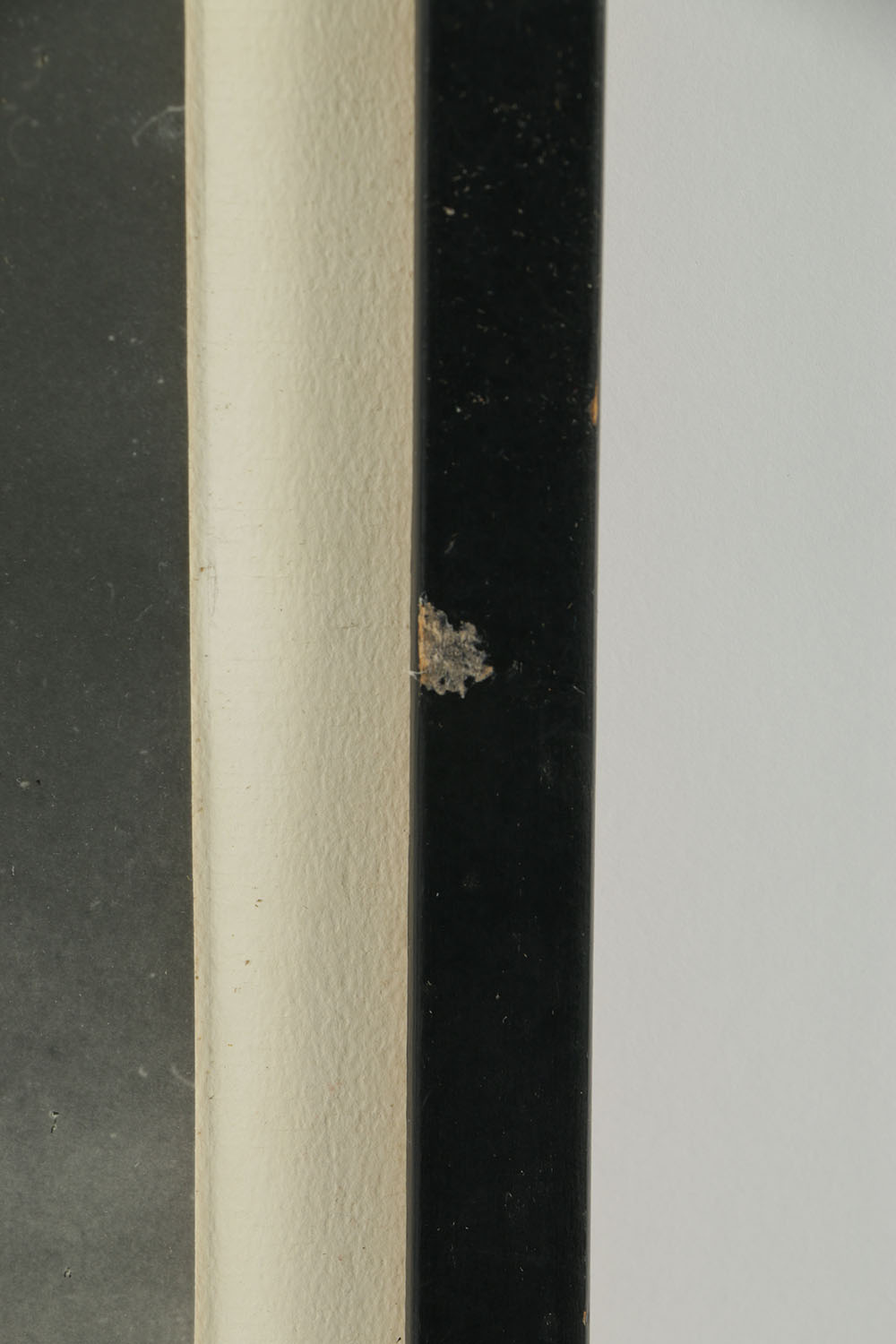 Black and White Photograph of Pola Negri