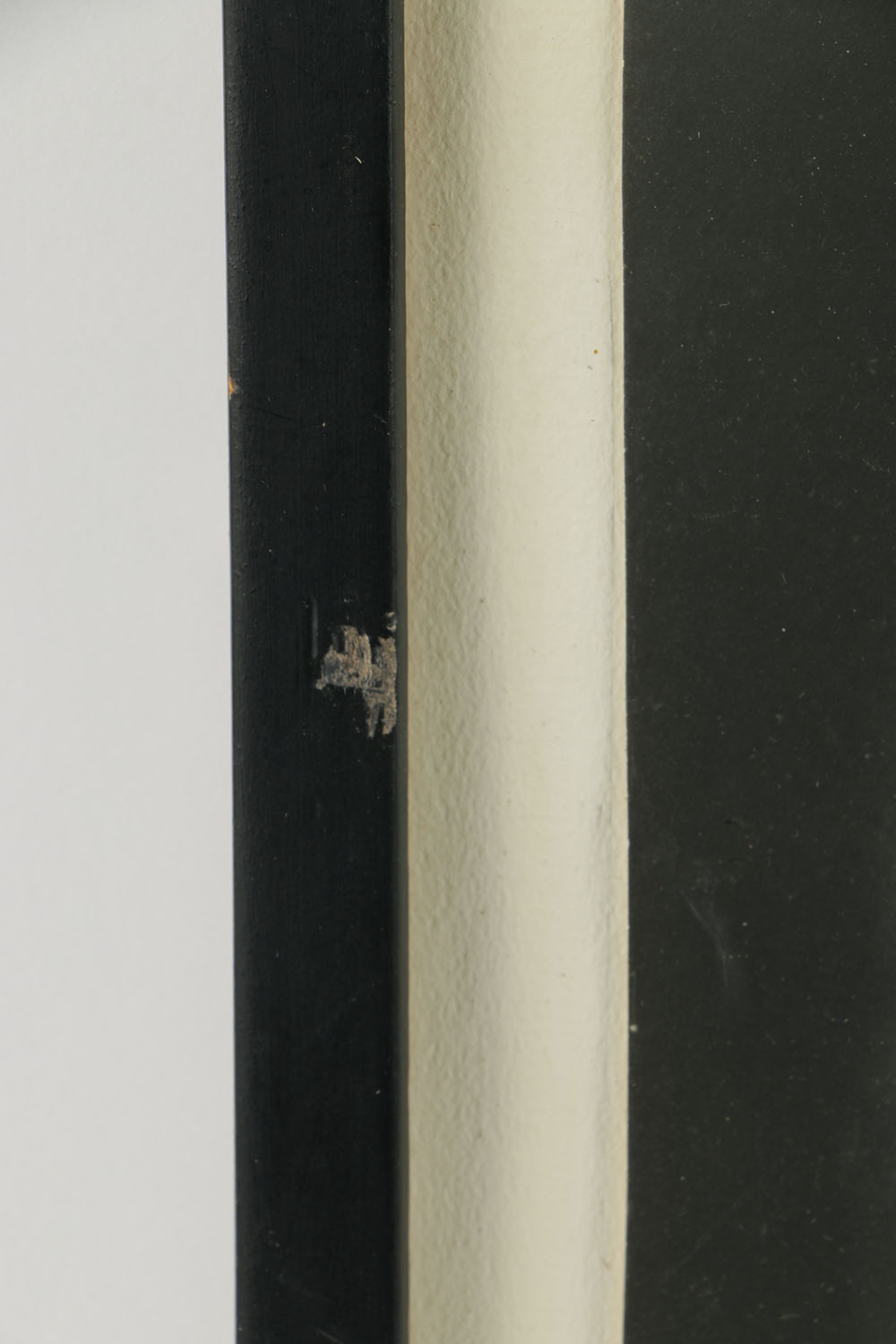 Black and White Photograph of Pola Negri