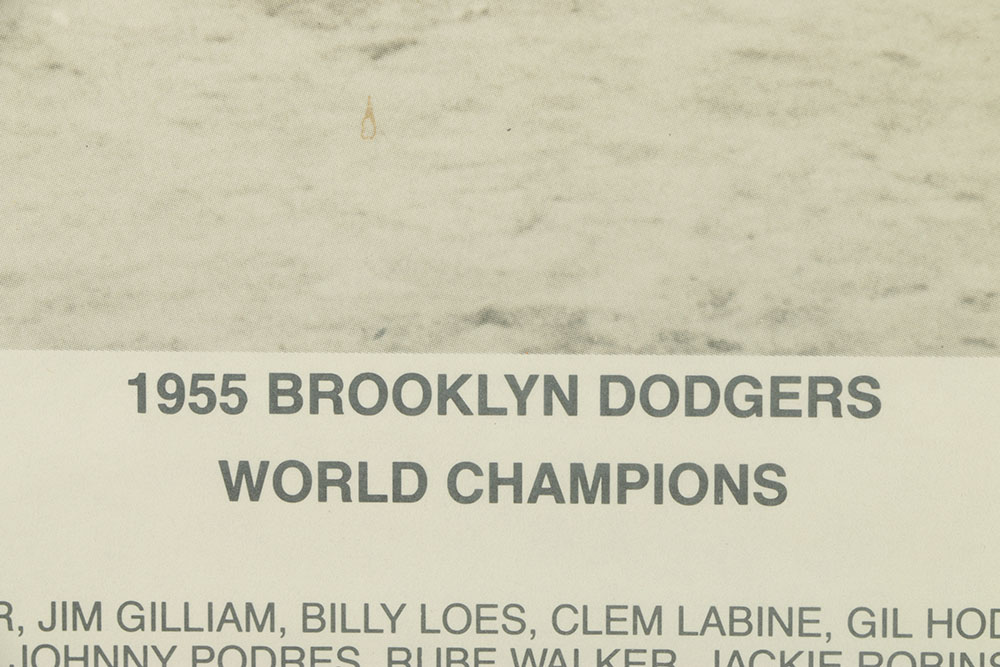 Reproduction Photograph of the 1955 Brooklyn Dodgers