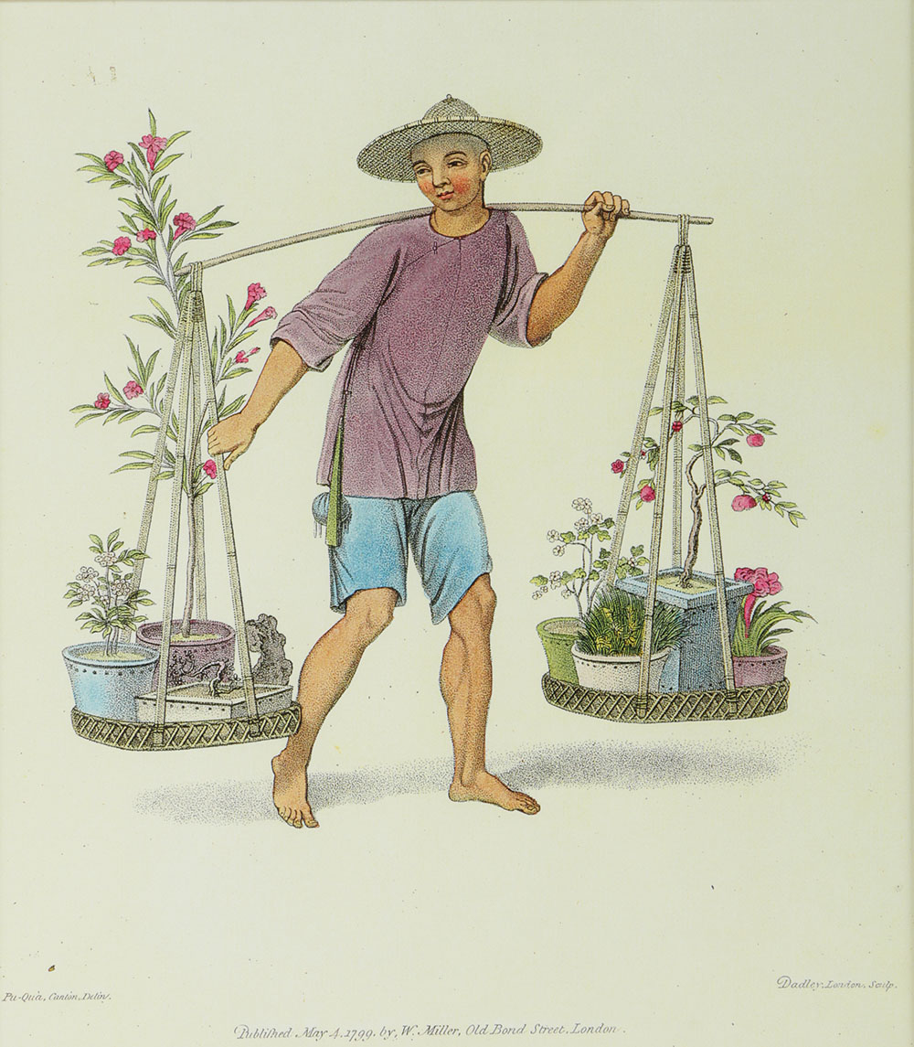 Reproduction Giclee on Paper of a Porter with Fruit Trees