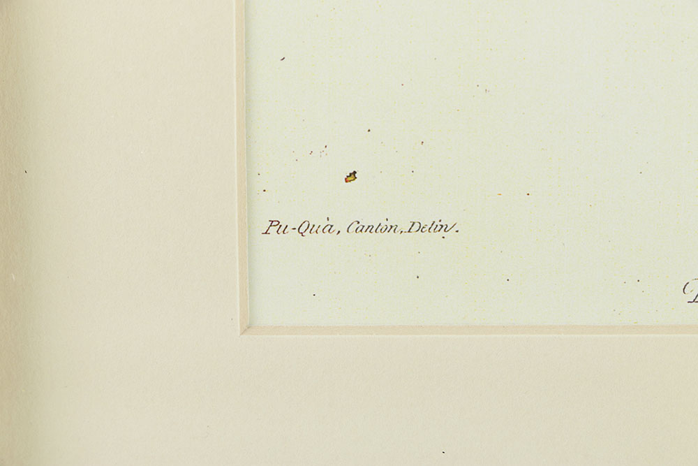 Reproduction Giclee on Paper of a Porter with Fruit Trees