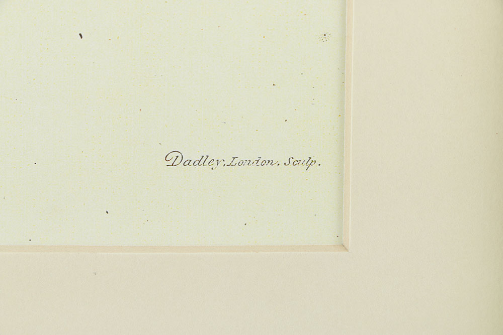 Reproduction Giclee on Paper of a Porter with Fruit Trees