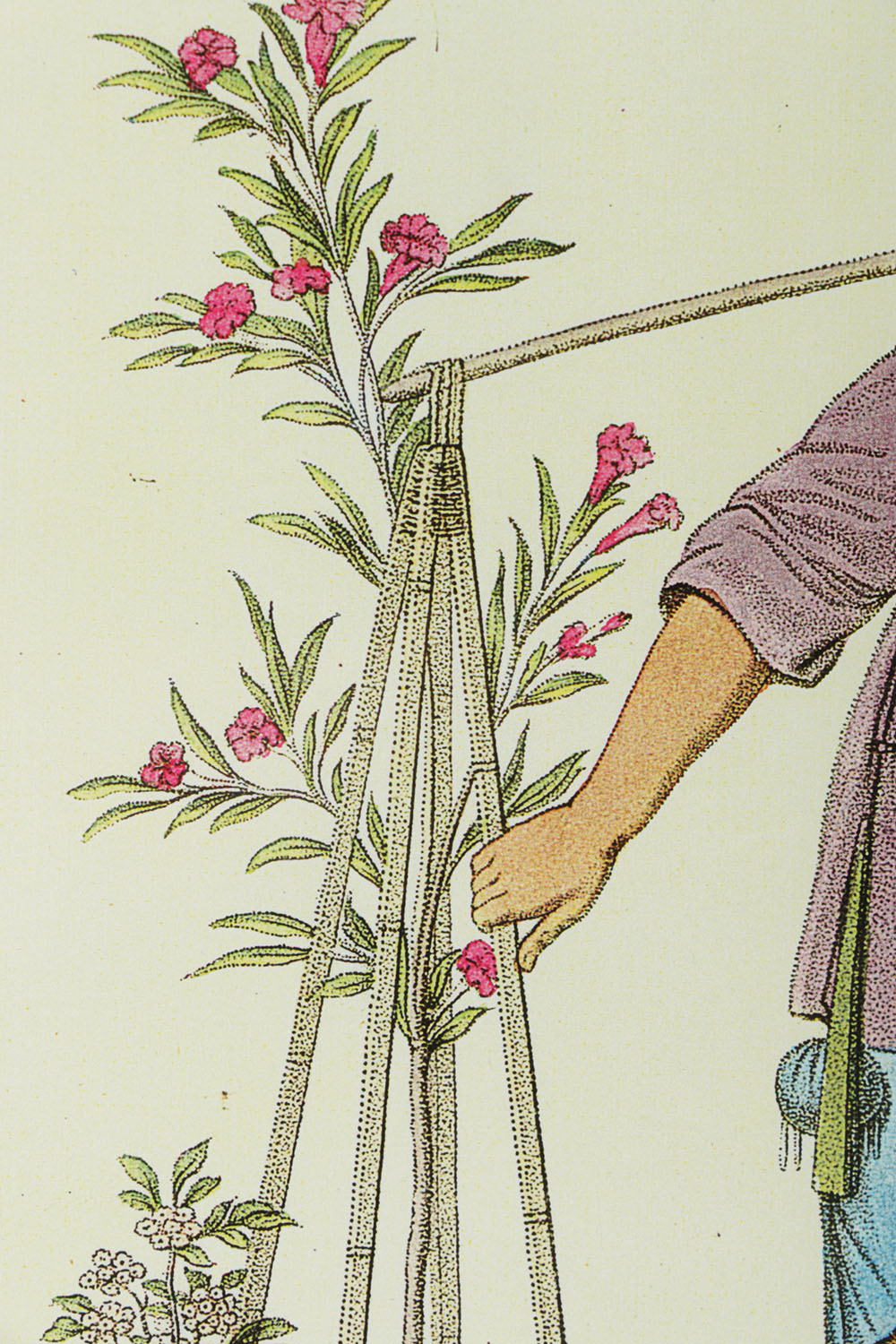 Reproduction Giclee on Paper of a Porter with Fruit Trees