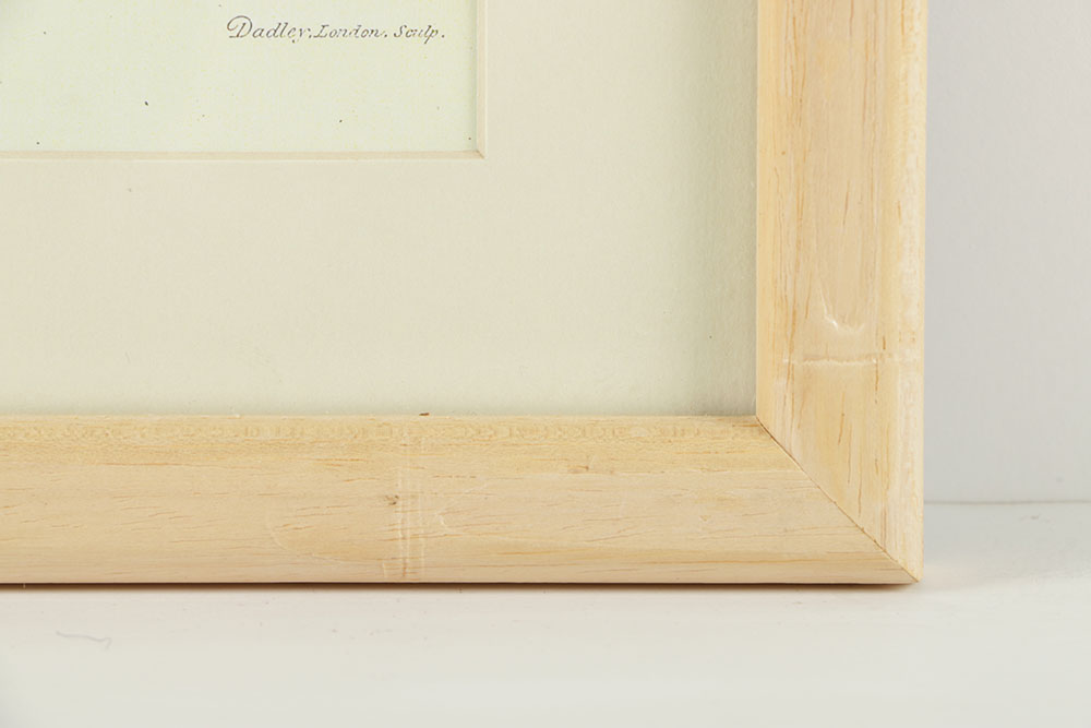 Reproduction Giclee on Paper of a Porter with Fruit Trees