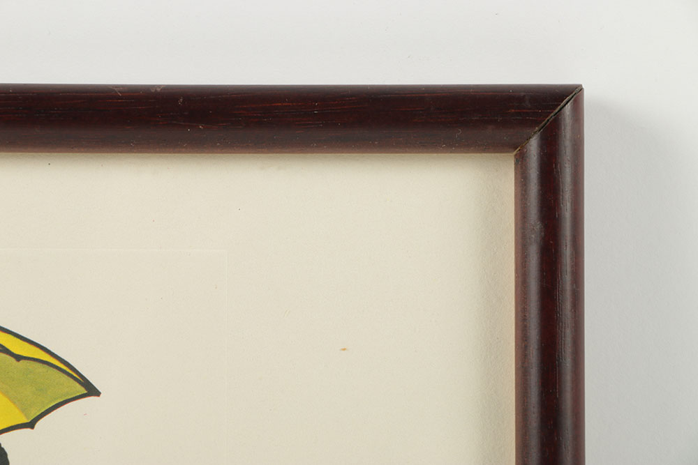 UNICEF Commemorative Cancellation Page of the Fiji Stamp