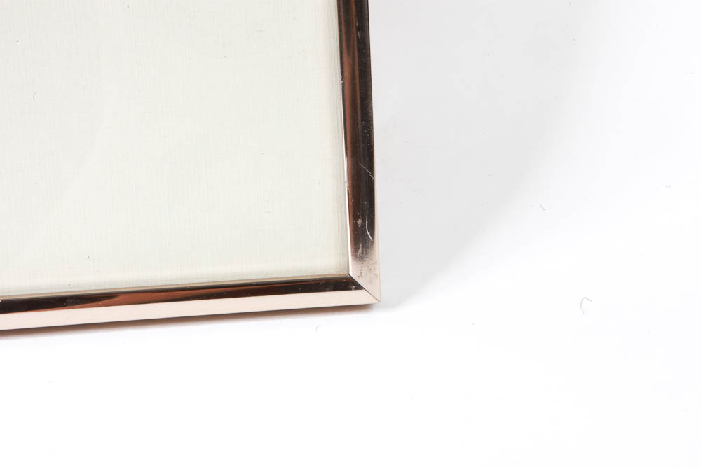 Charley Harper Limited Edition Serigraph "Phancy Pheathers"