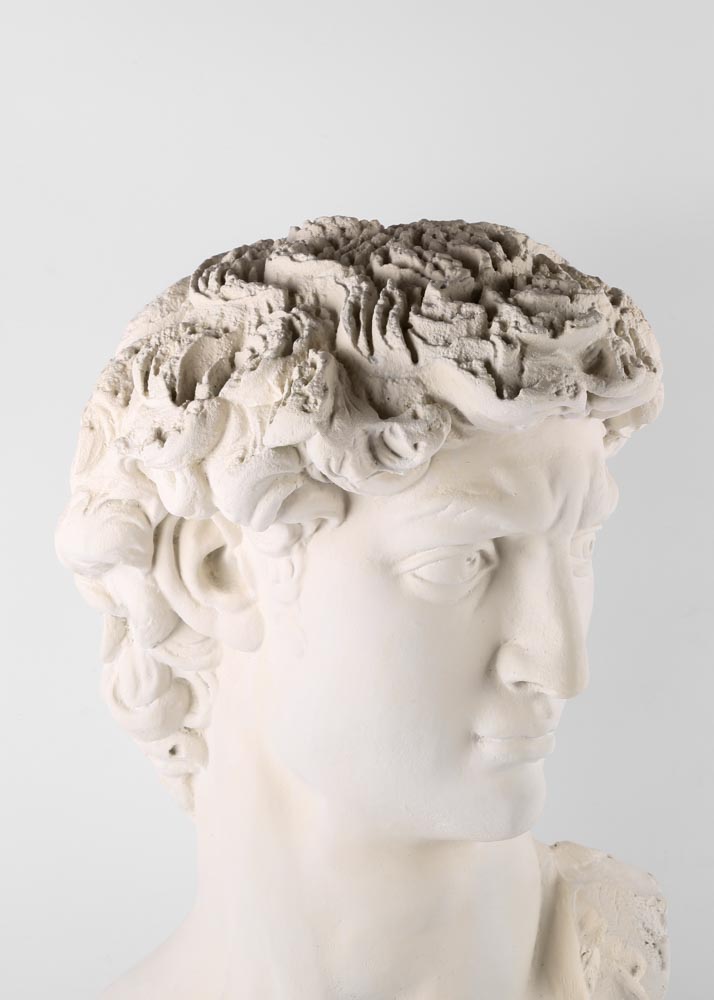 Reproduction Bust of David