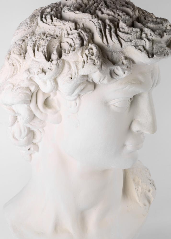 Reproduction Bust of David