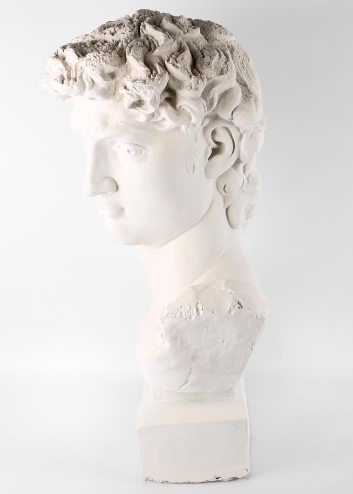 Reproduction Bust of David