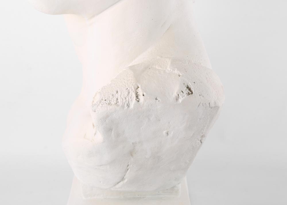 Reproduction Bust of David