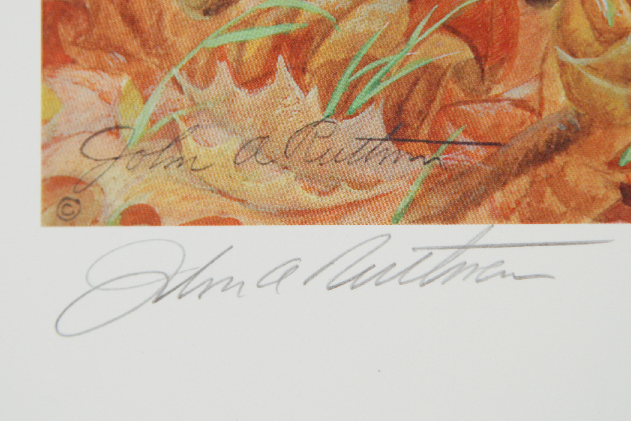 John A. Ruthven Limited Edition Offset Lithograph "Family Outing"