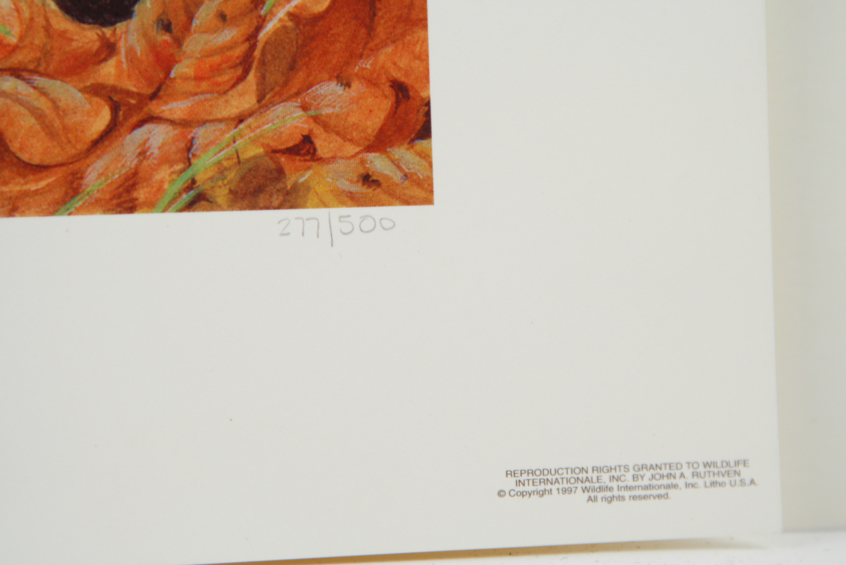 John A. Ruthven Limited Edition Offset Lithograph "Family Outing"