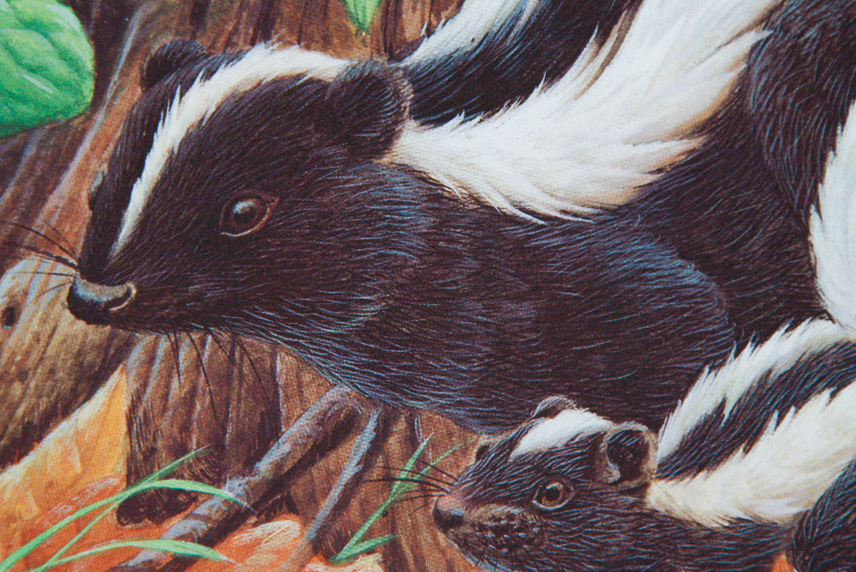 John A. Ruthven Limited Edition Offset Lithograph "Family Outing"