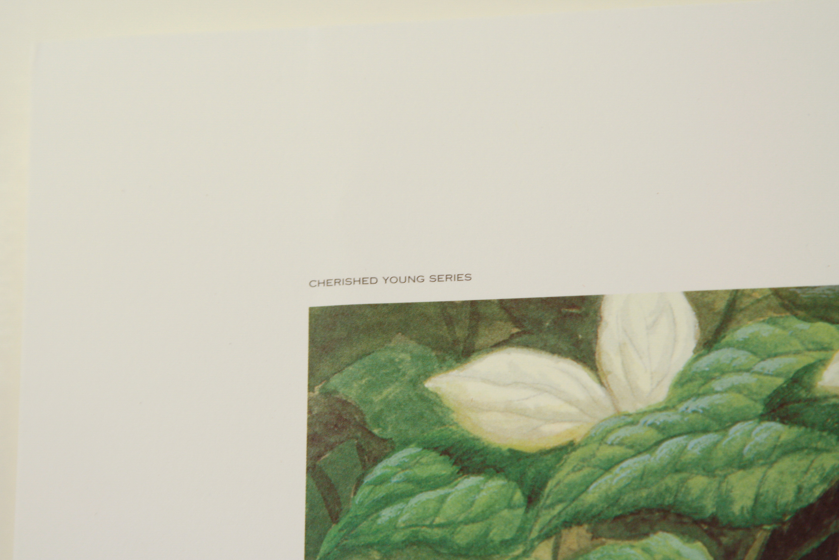 John A. Ruthven Limited Edition Offset Lithograph "Family Outing"