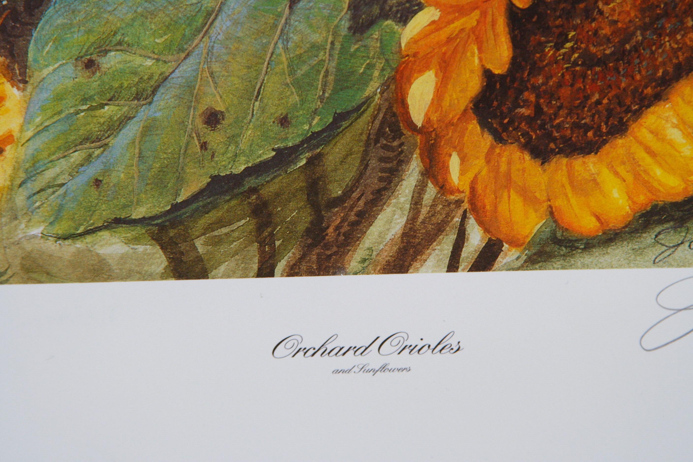 John A. Ruthven Limited Edition Lithograph"Orchard Orioles"