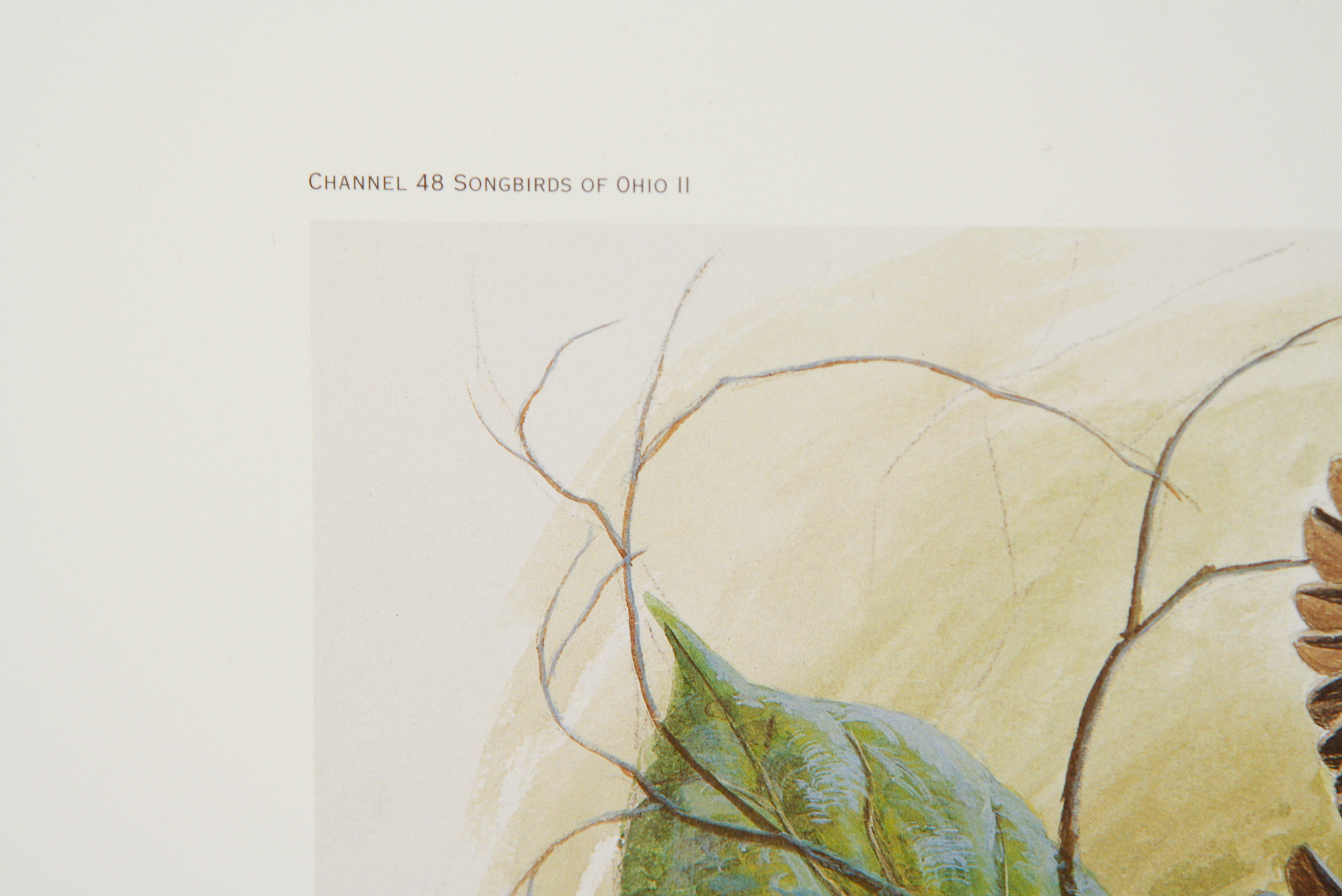 John A. Ruthven Limited Edition Lithograph"Orchard Orioles"