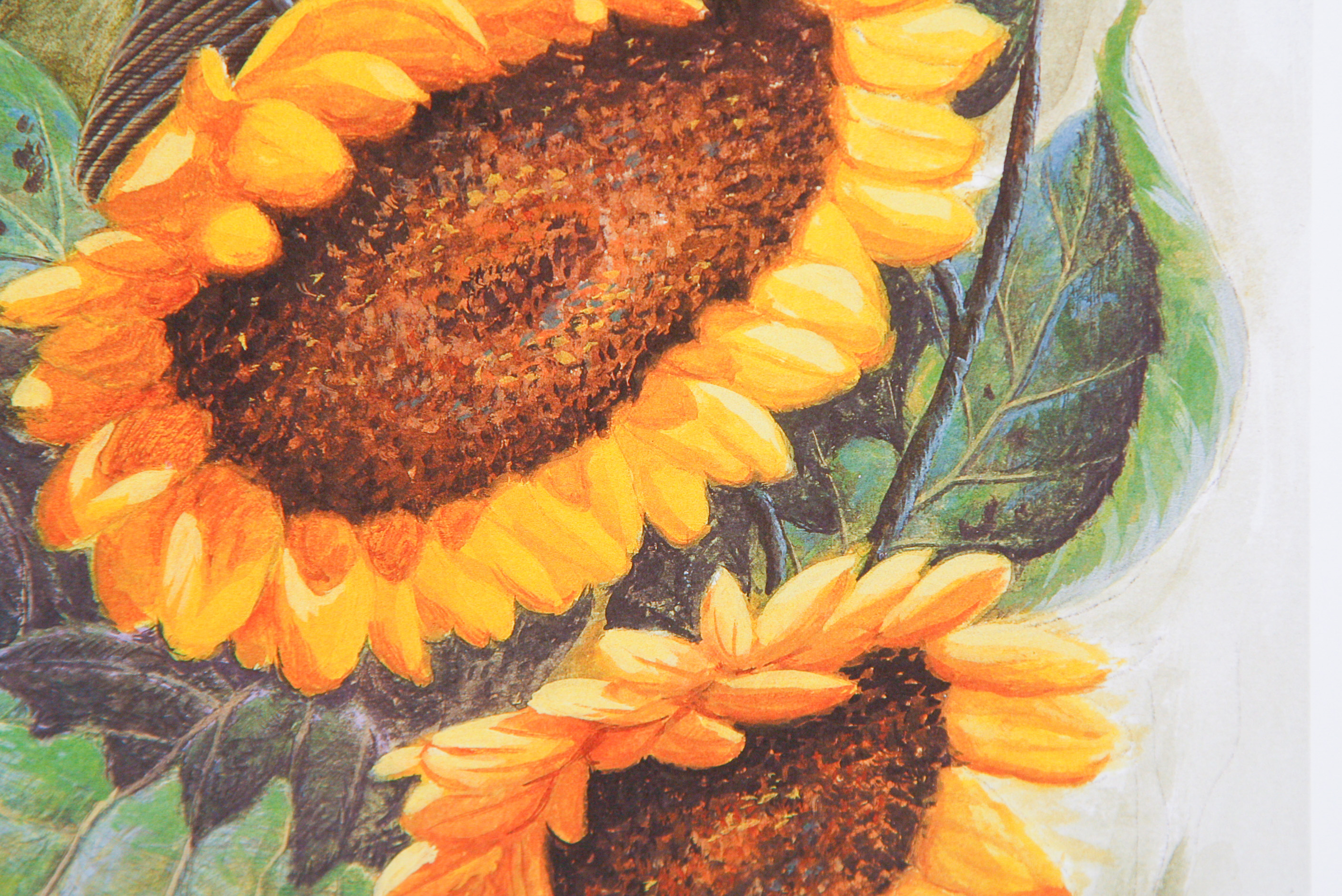 John A. Ruthven Limited Edition Lithograph"Orchard Orioles"