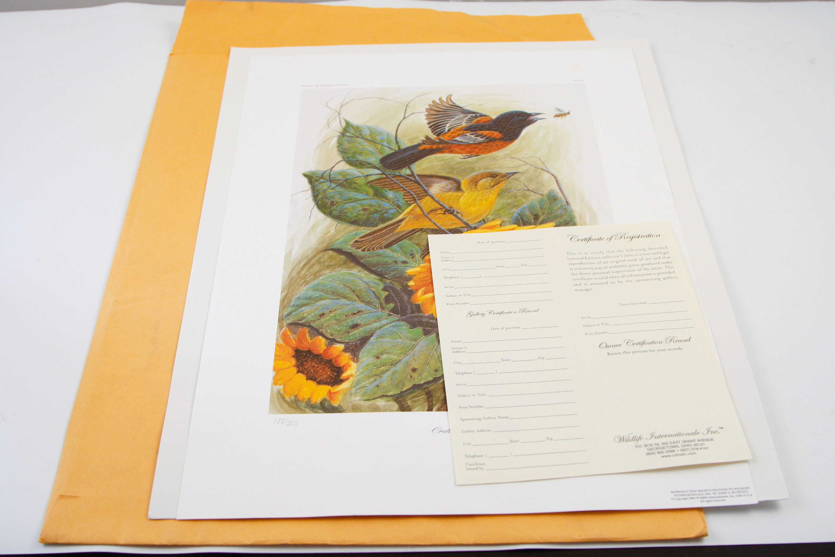John A. Ruthven Limited Edition Lithograph"Orchard Orioles"